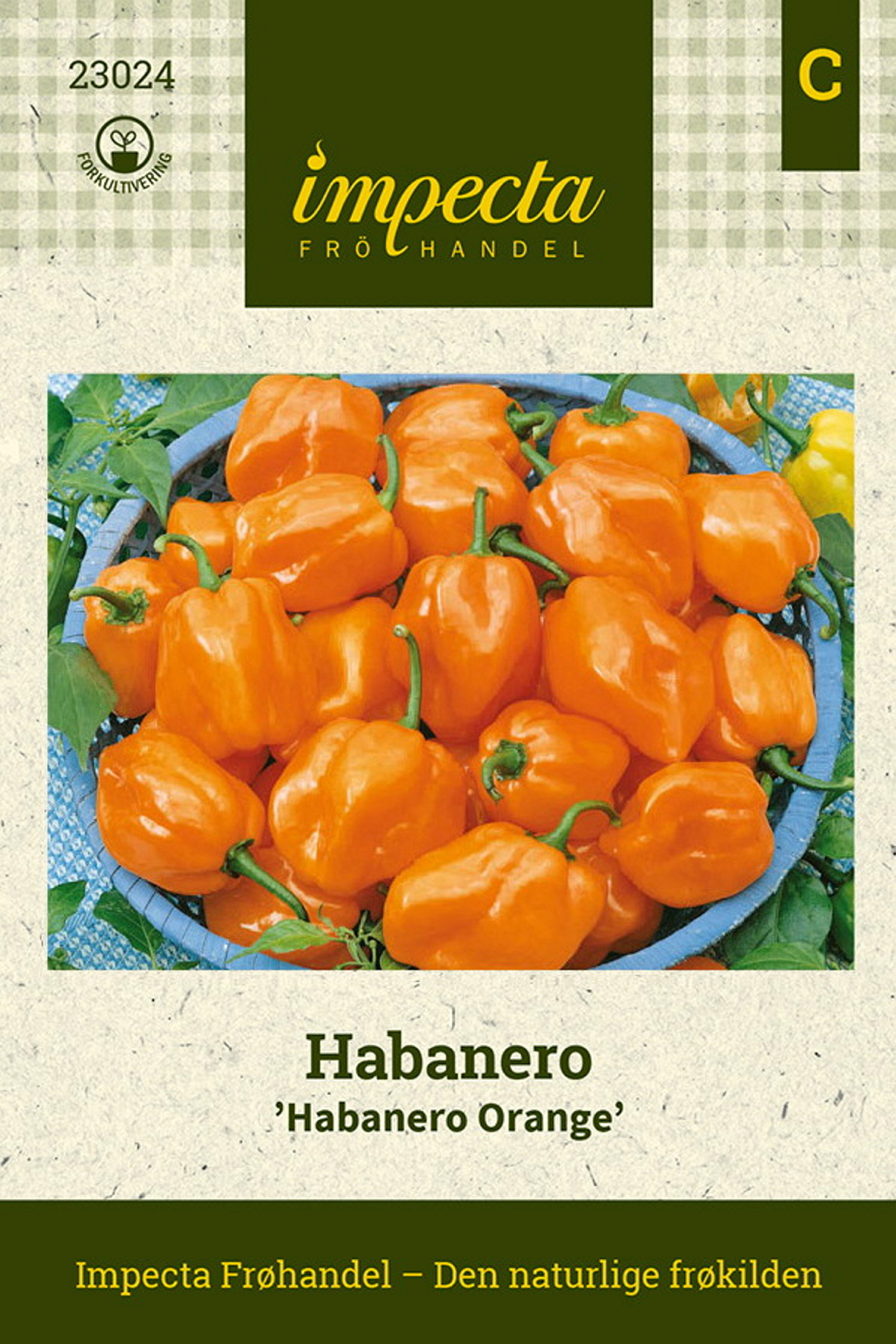 Capsicum chinense 'Habanero Orange'