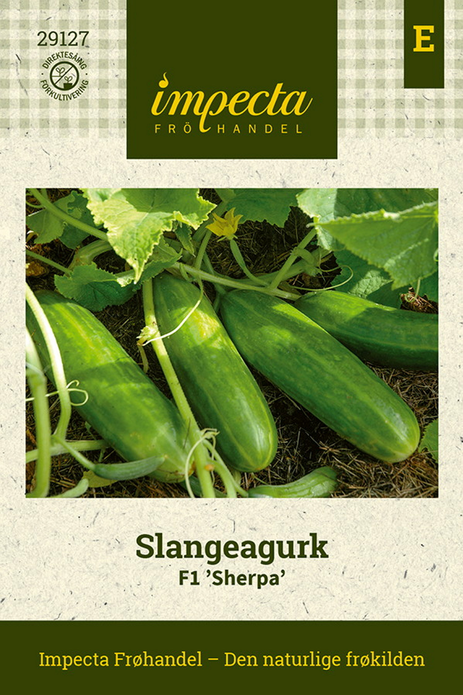 Cucumis sativus F1 'Sherpa'