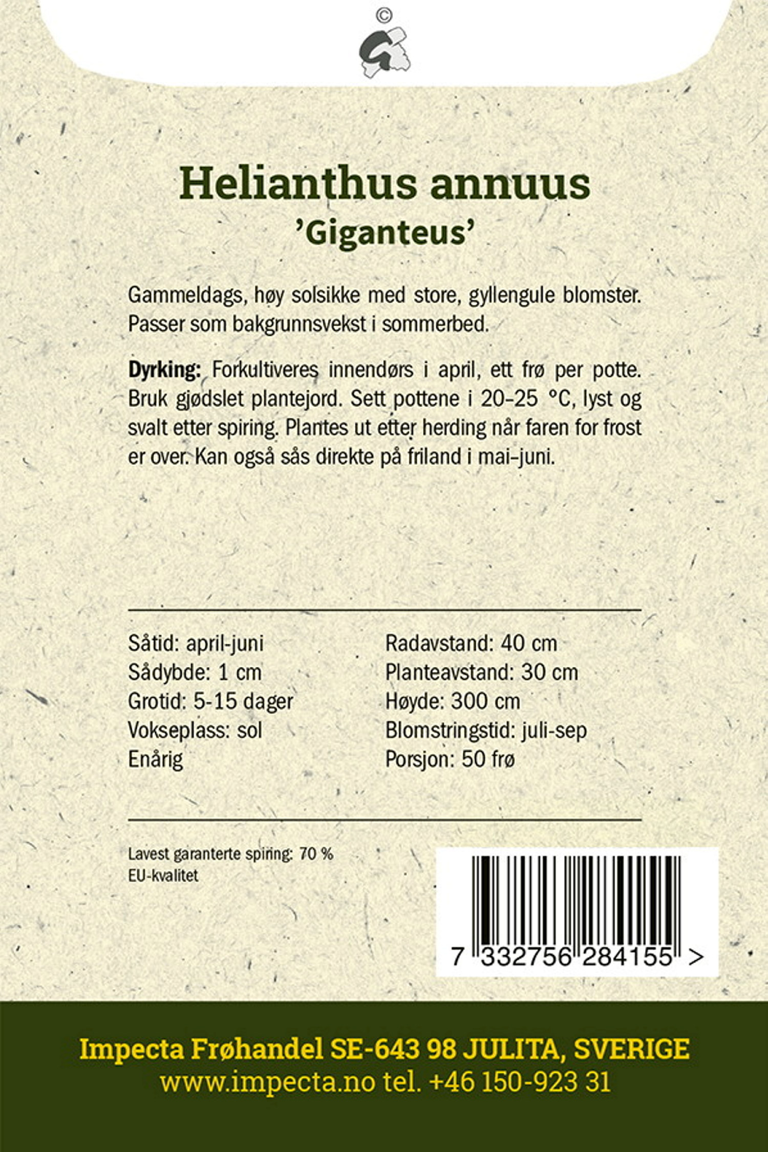 Kjempesolsikke 'Giganteus'