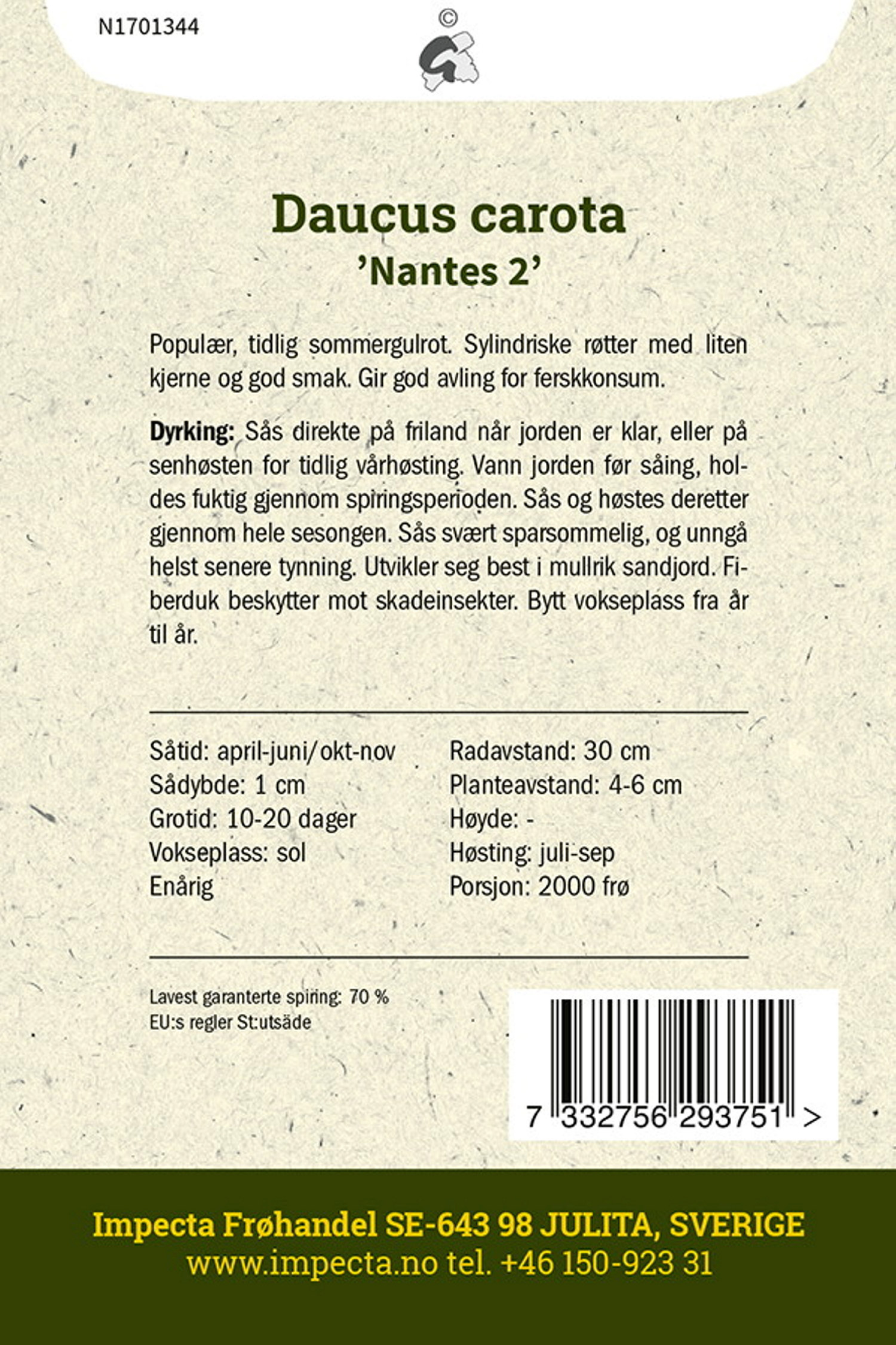 Daucus carota 'Nantes 2'