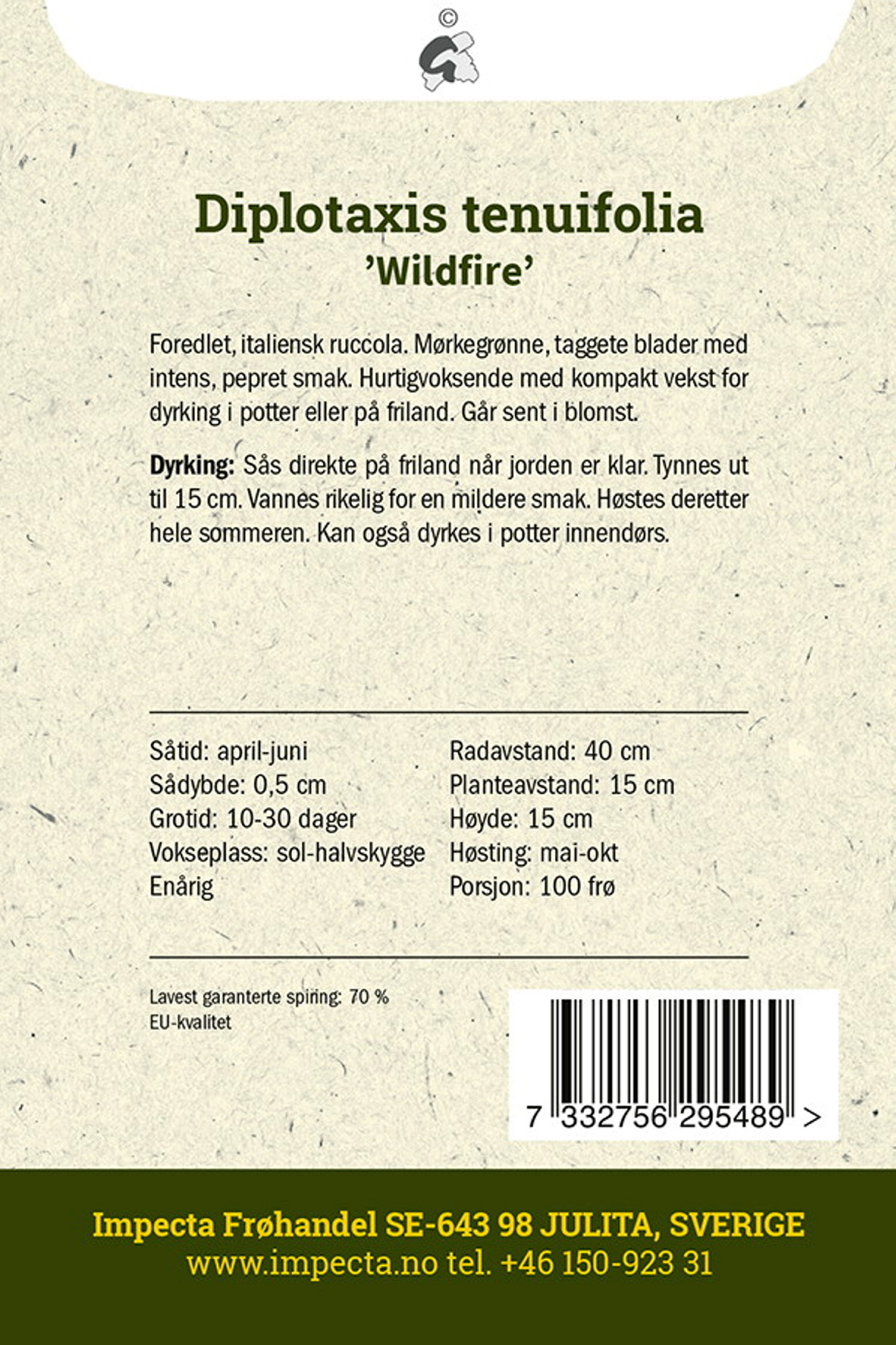 Diplotaxis tenuifolia 'Wildfire'