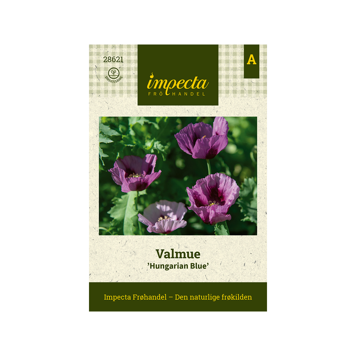 Valmue 'Hungarian Blue'