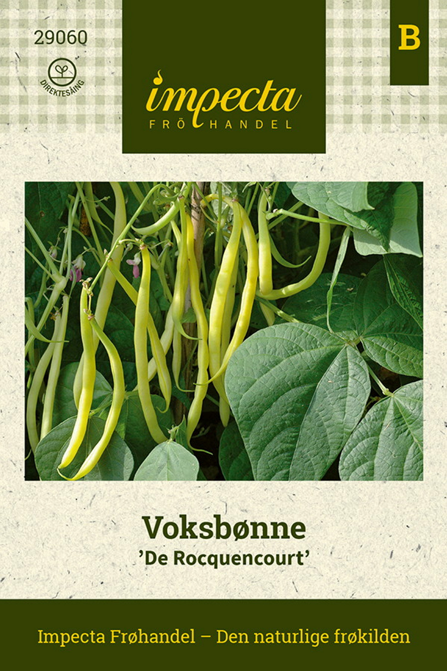 Phaseolus vulgaris 'De Rocquencourt'