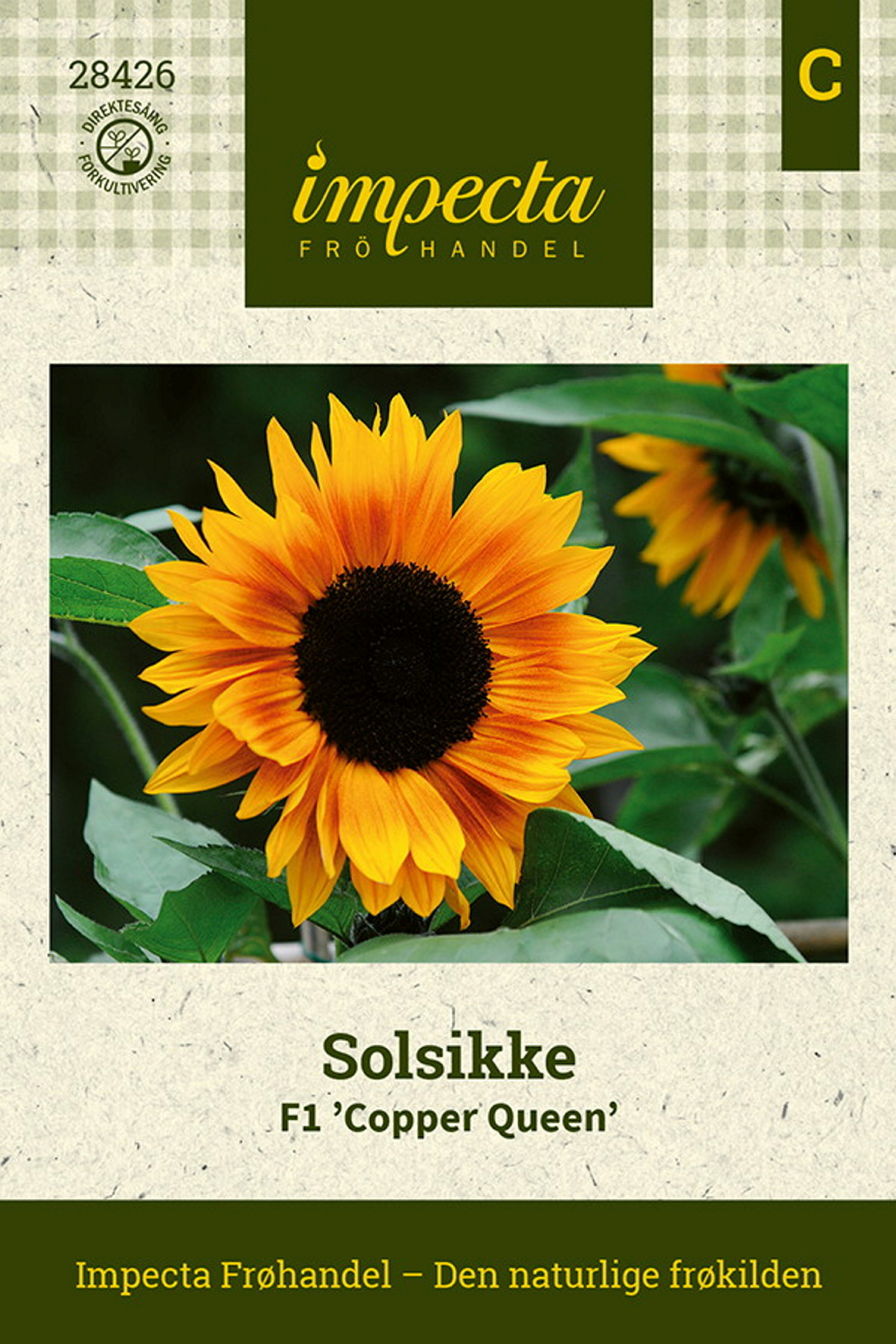 Solros F1 'Copper Queen'