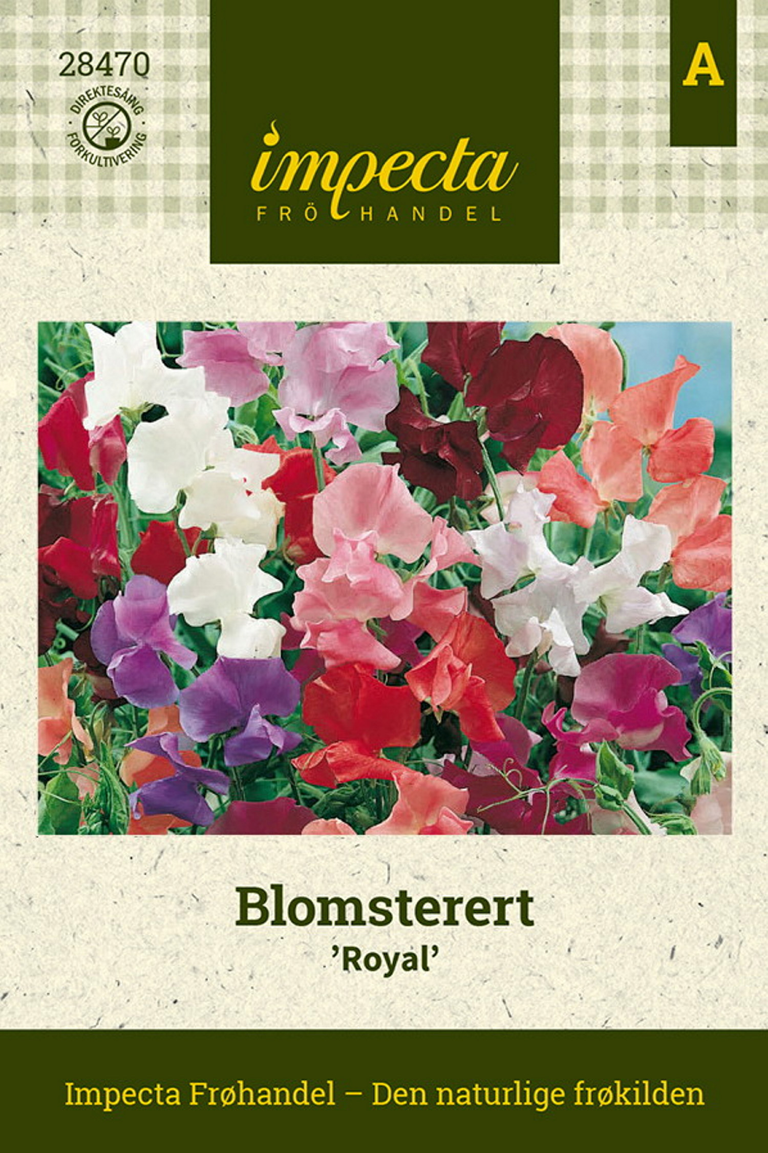 Blomsterert 'Royal'