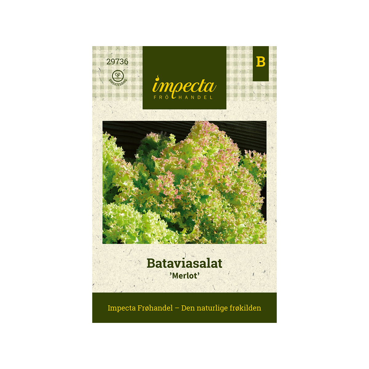 Lactuca sativa 'Merlot'