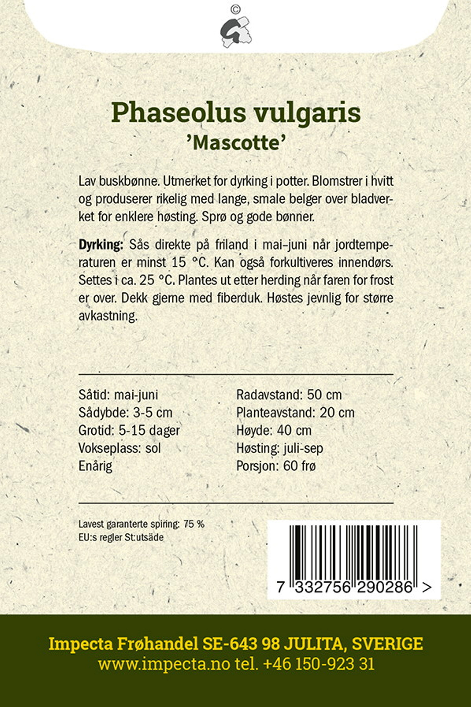 Phaseolus vulgaris 'Mascotte'