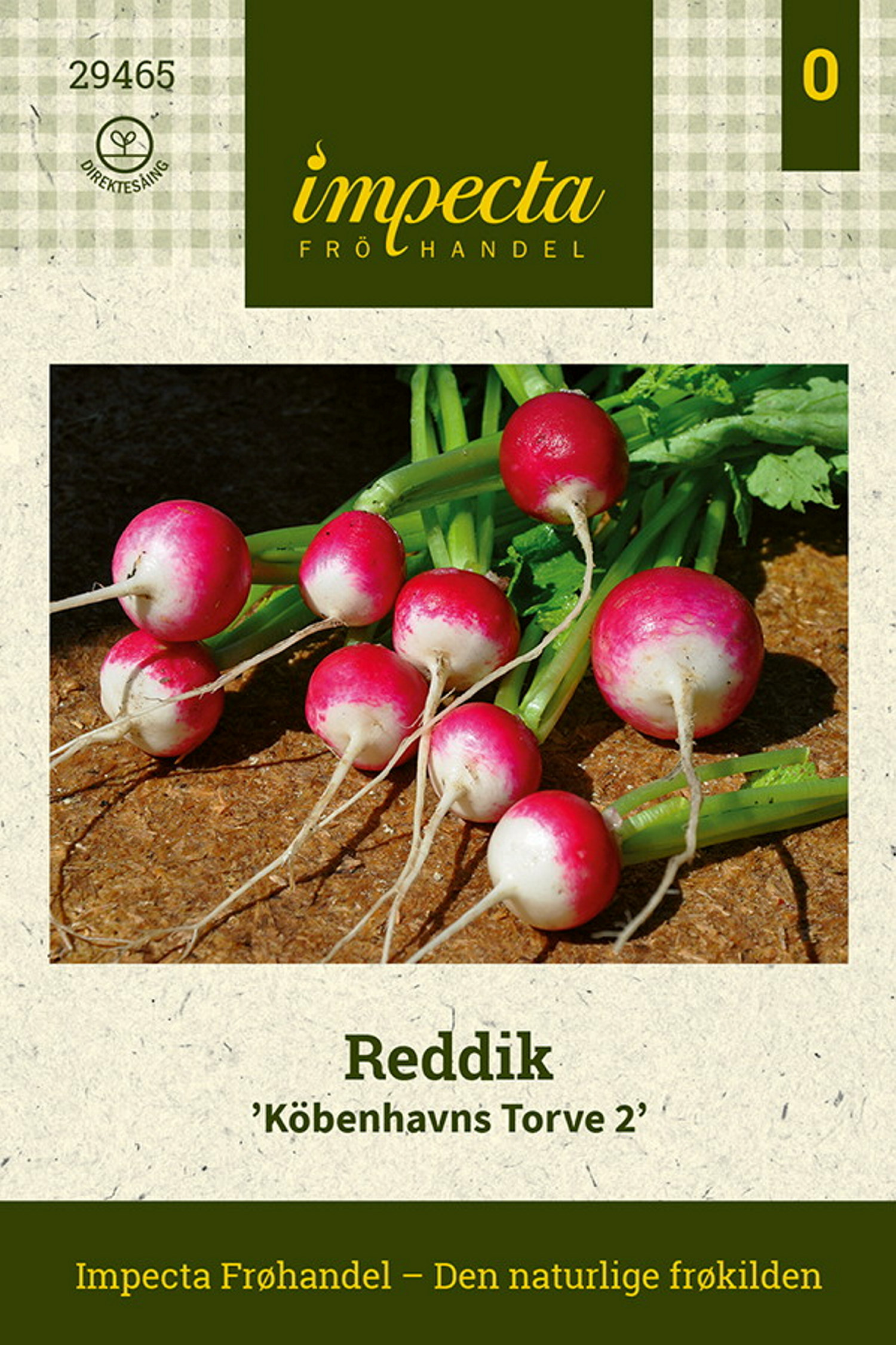 Raphanus sativus 'Köbenhavns Torve 2'