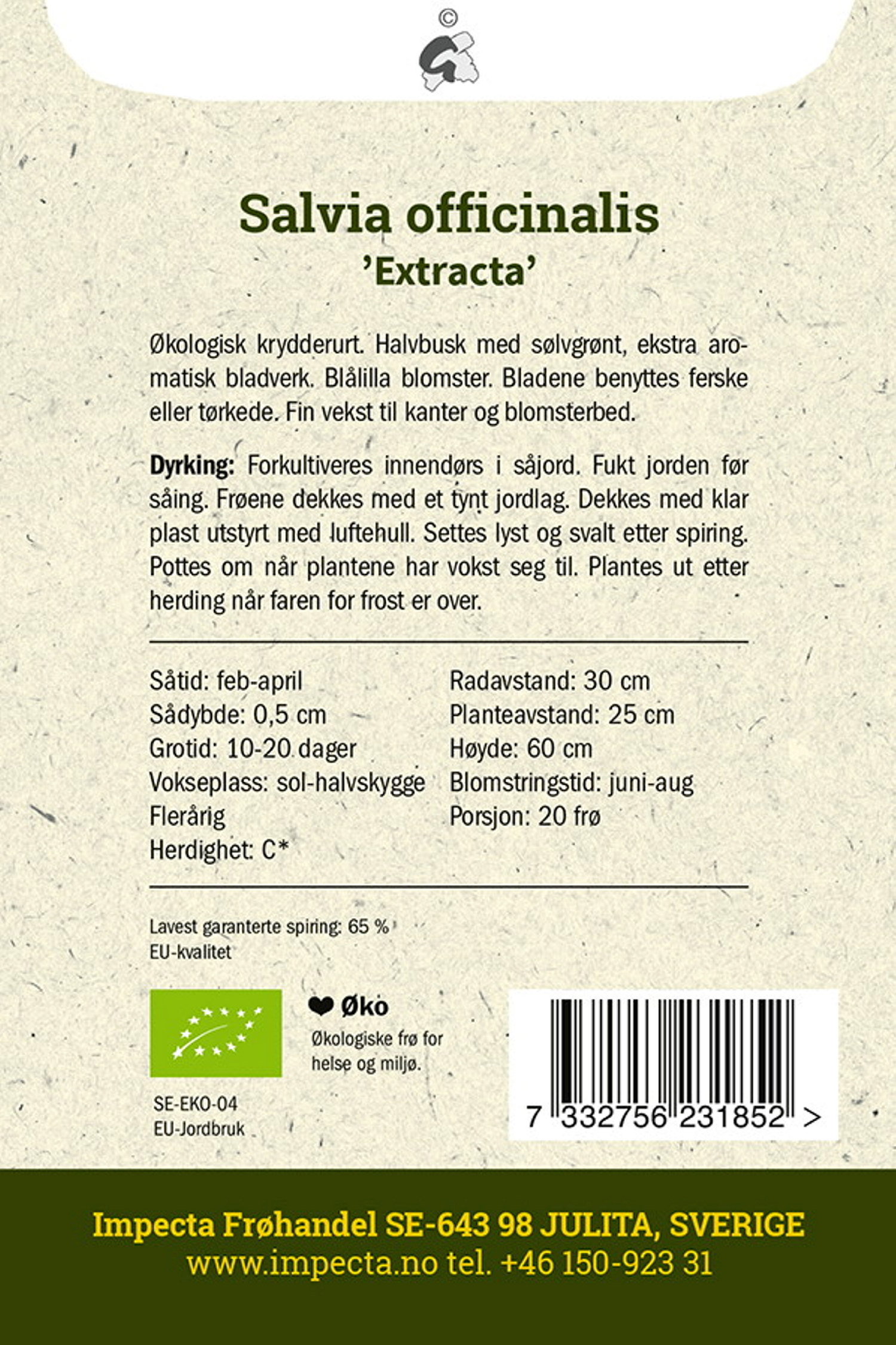 Salvia officinalis 'Extracta'