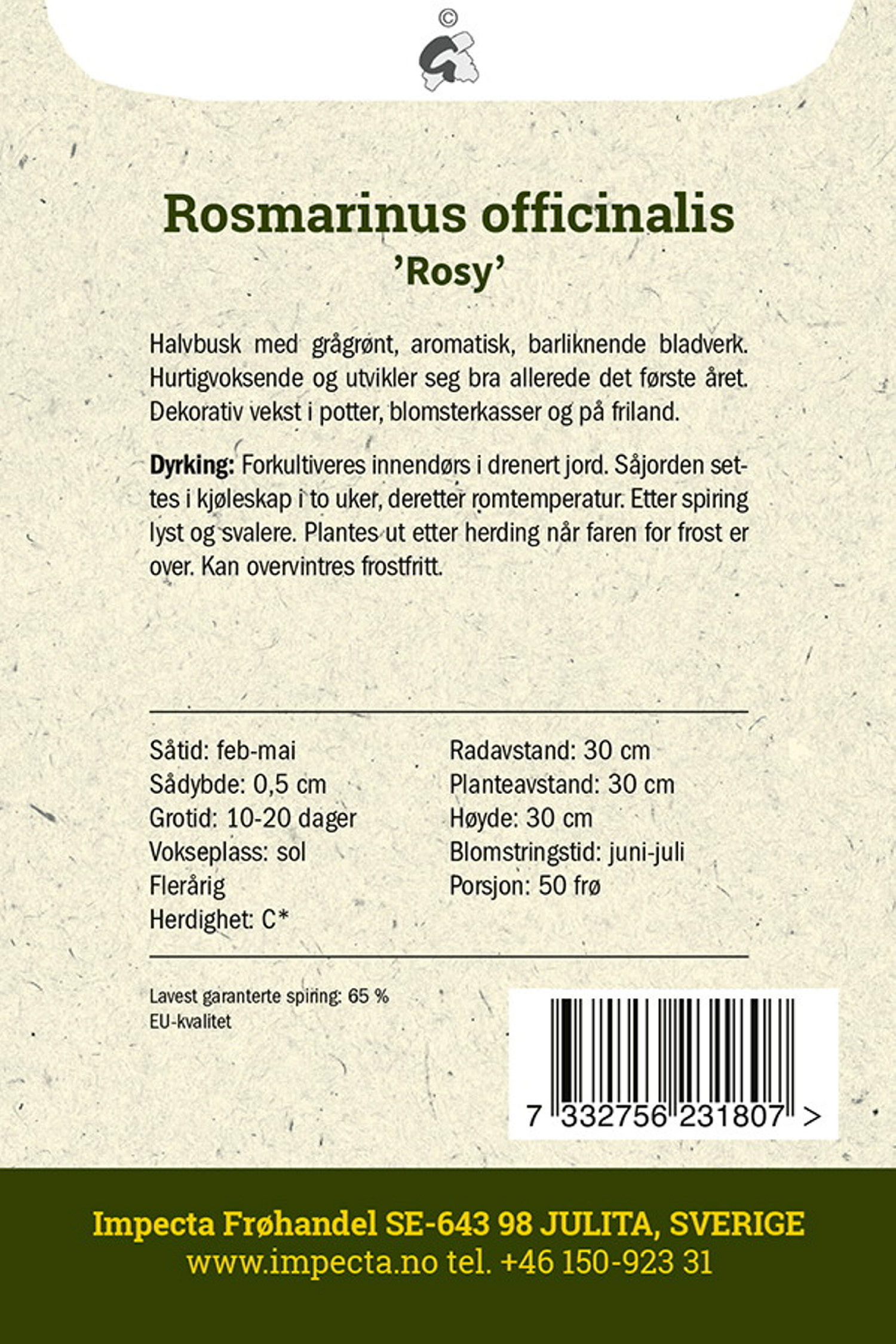 Rosmarinus officinalis 'Rosy'