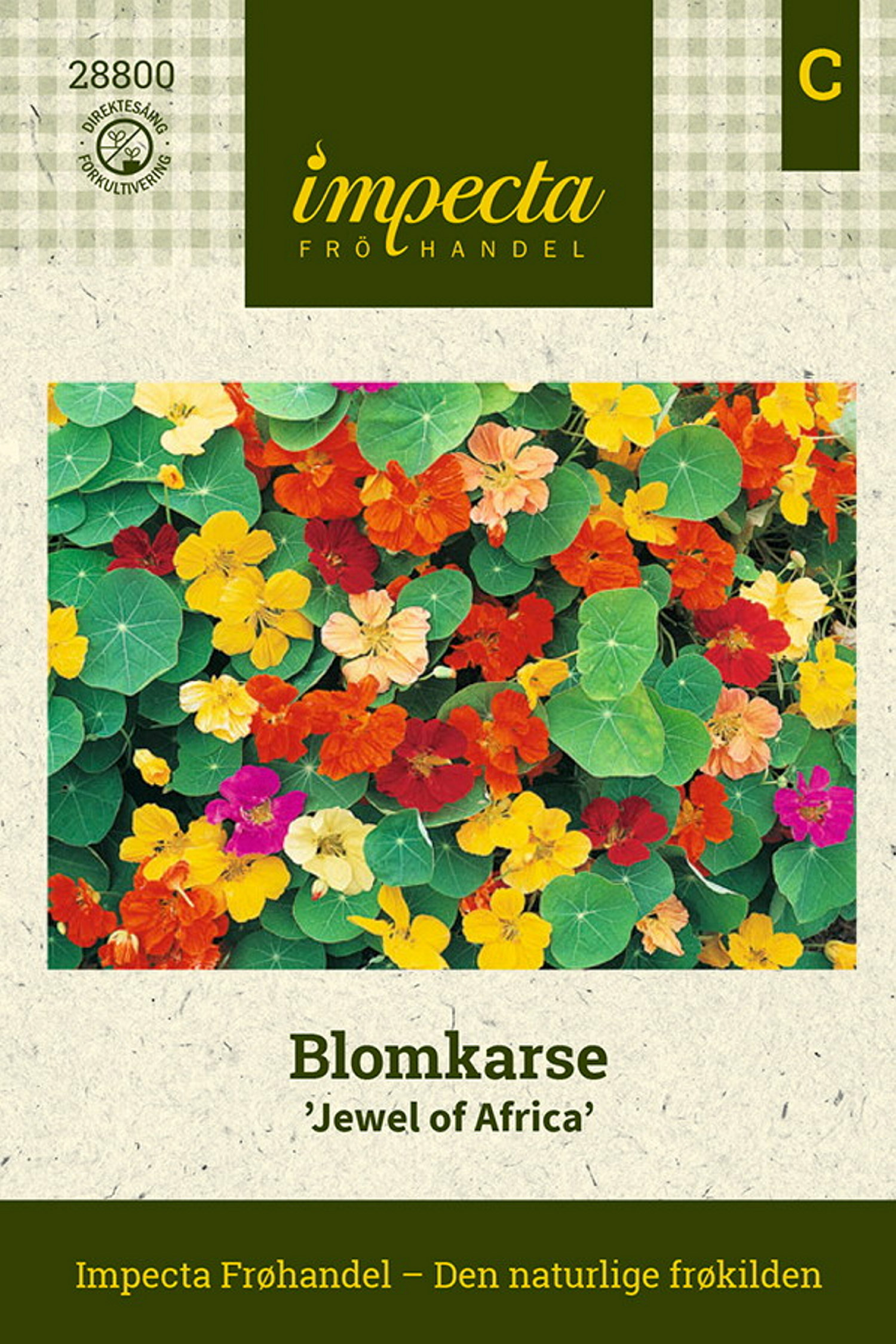 Blomkarse 'Jewel Of Africa'