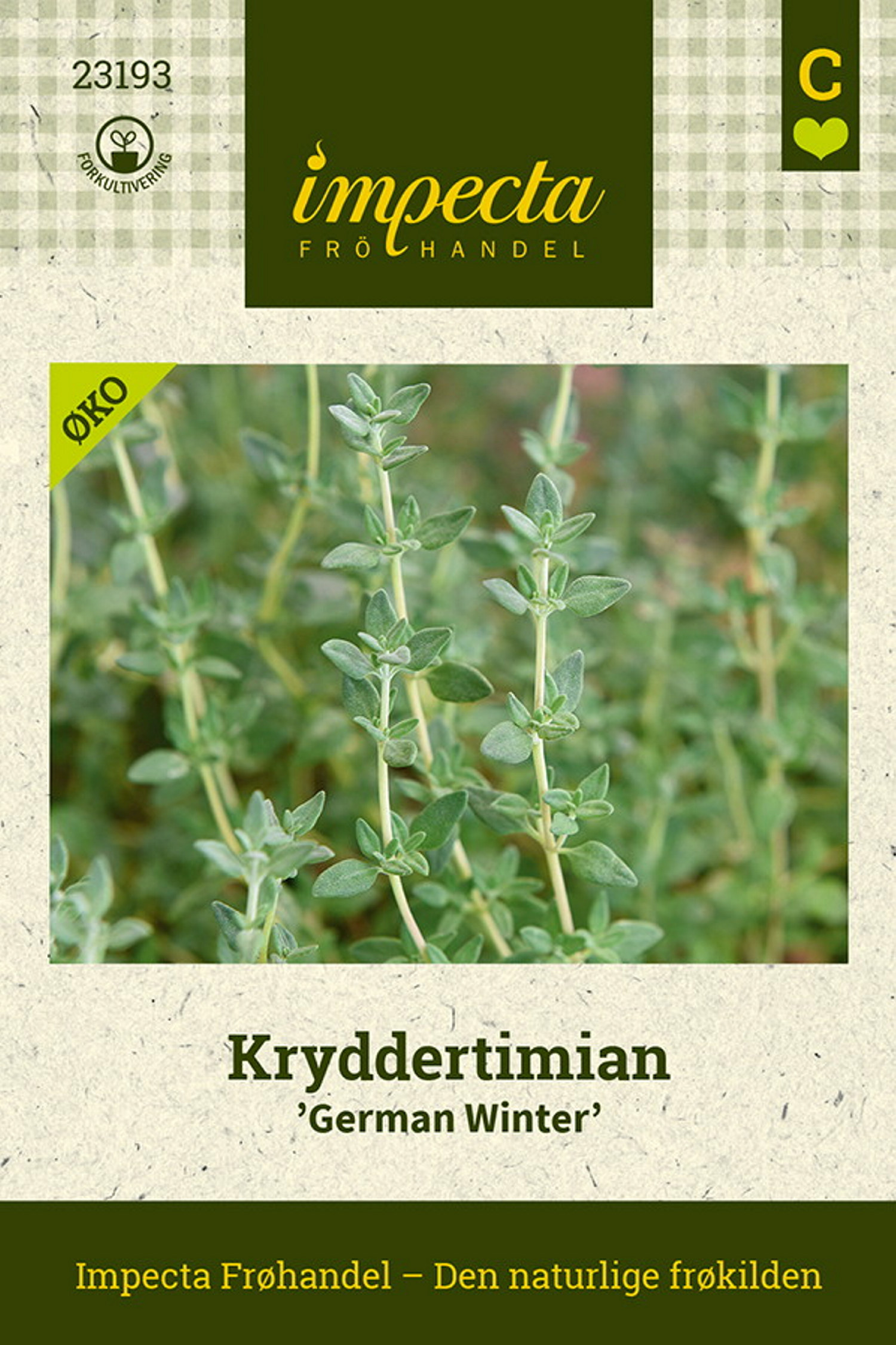 Kryddertimian 'German Winter'