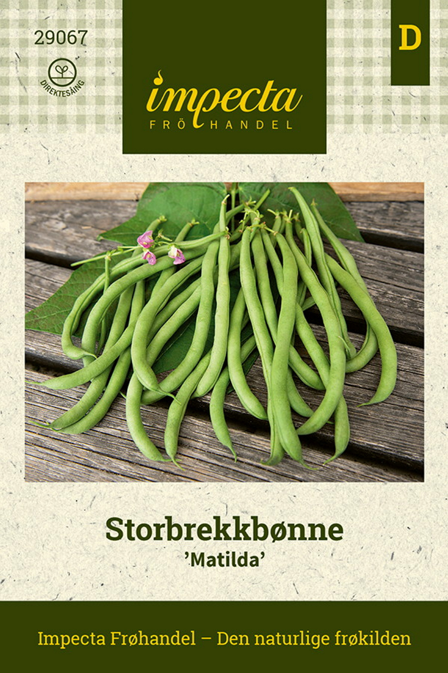 Phaseolus vulgaris 'Matilda'