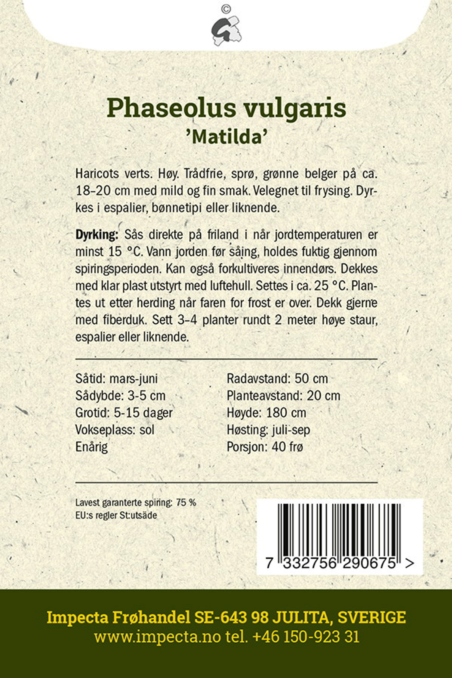 Phaseolus vulgaris 'Matilda'