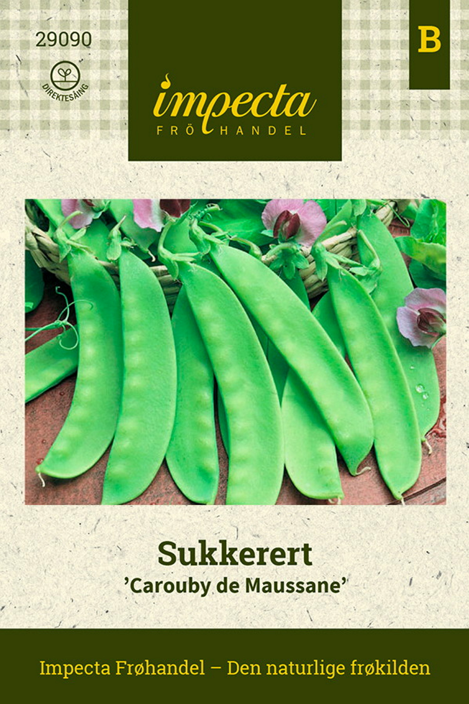 Sockerbeta 'Carouby De Maussane'