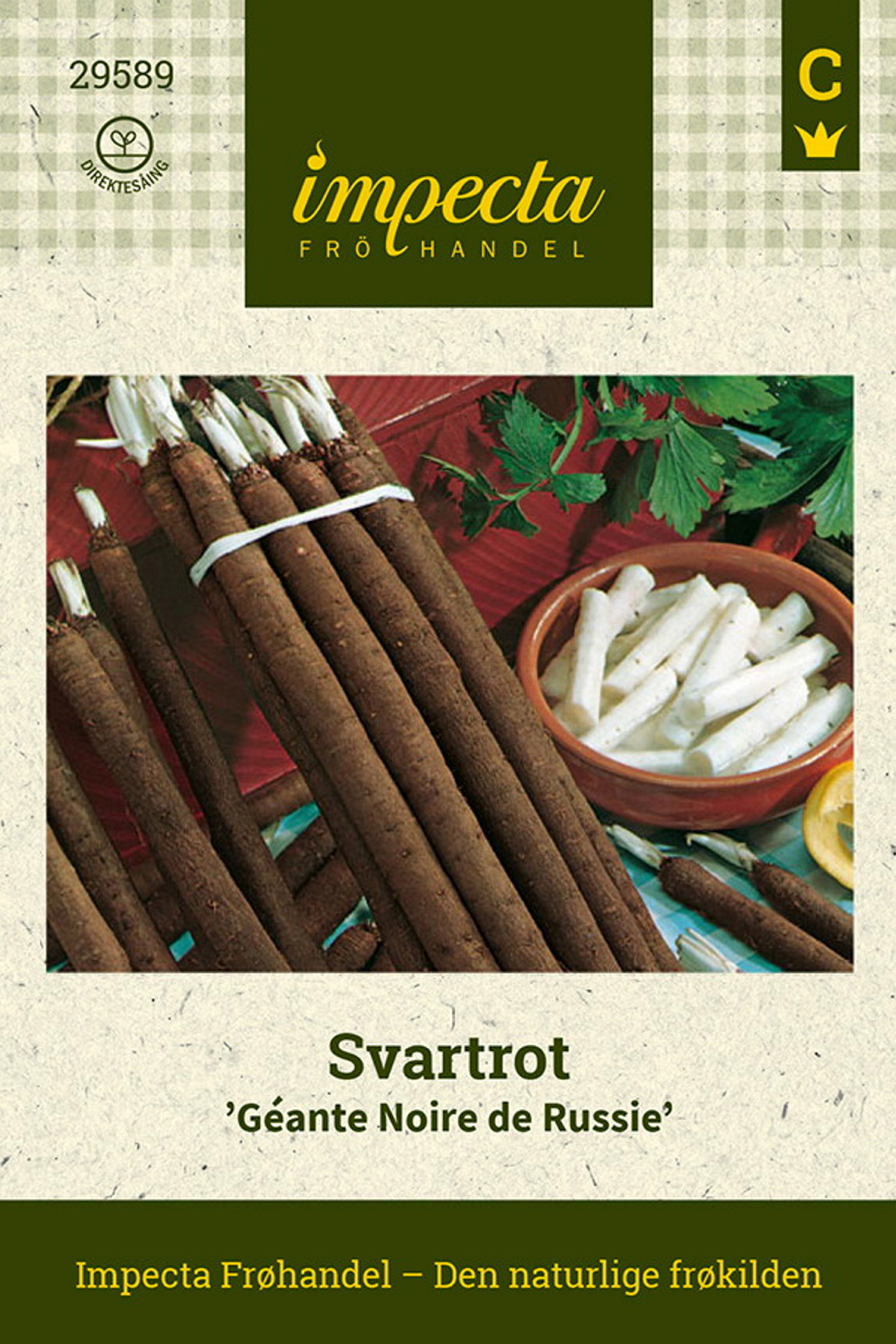 Scorzonera hispanica 'Géante Noire de Russie'