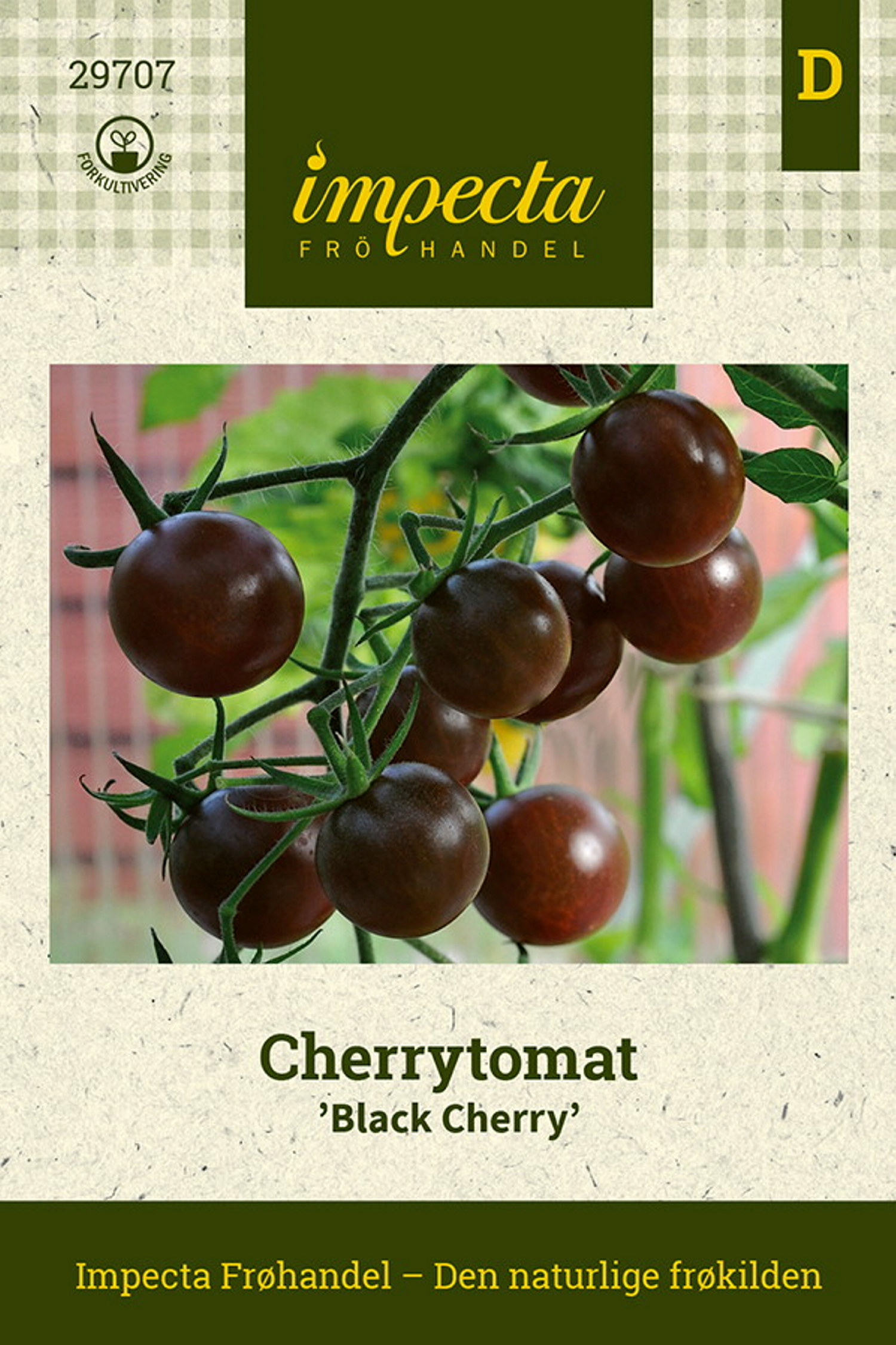 Cherrytomat 'Black Cherry'