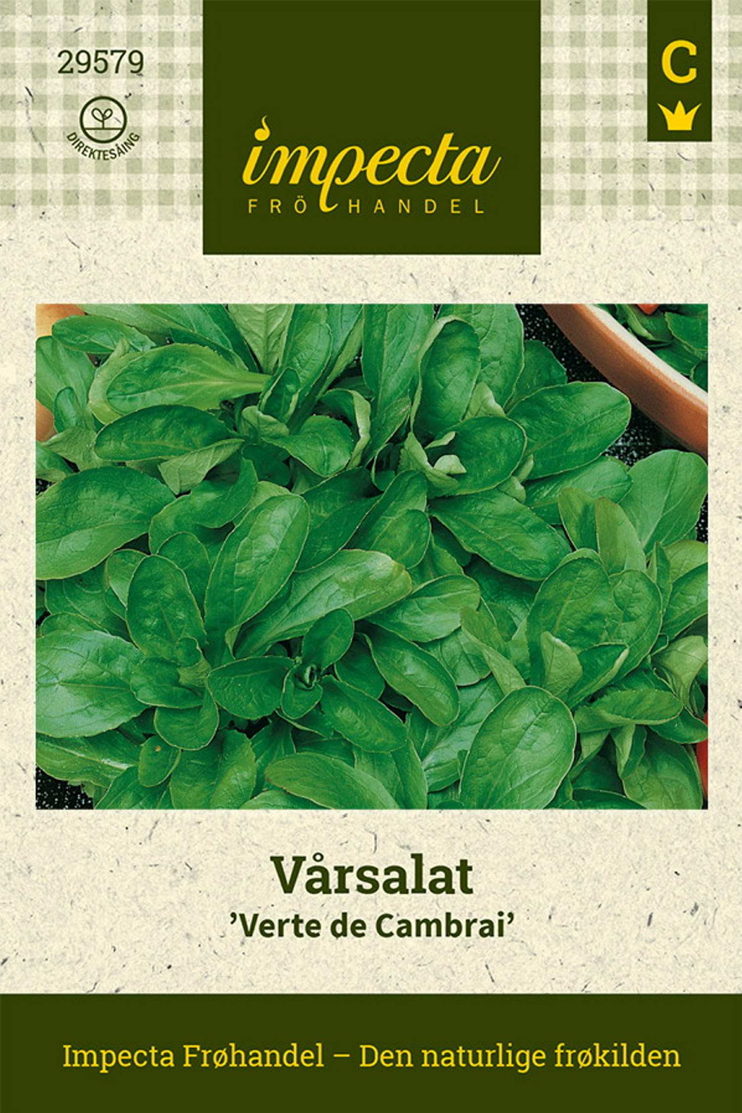 Valerianella locusta 'Verte de Cambrai'