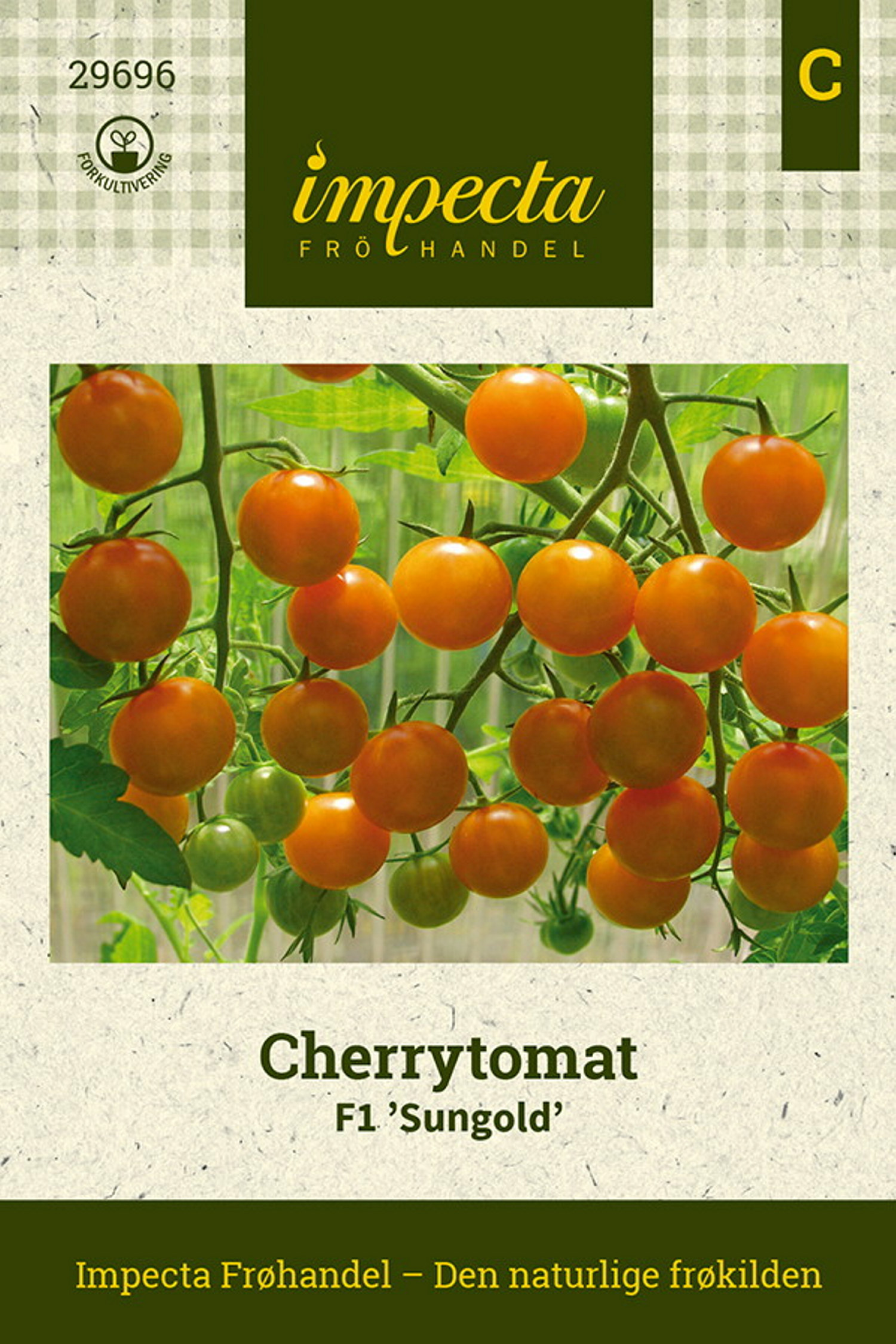 Cherrytomat F1 'Sungold'
