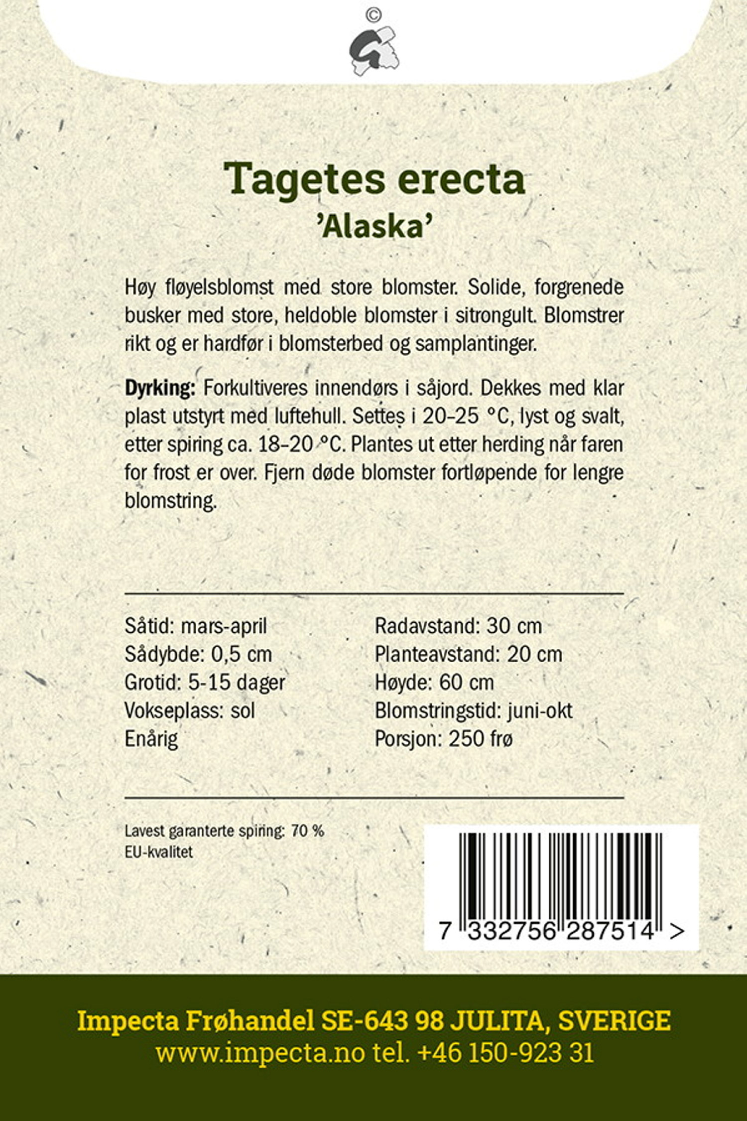 Tagetes erecta 'Alaska'