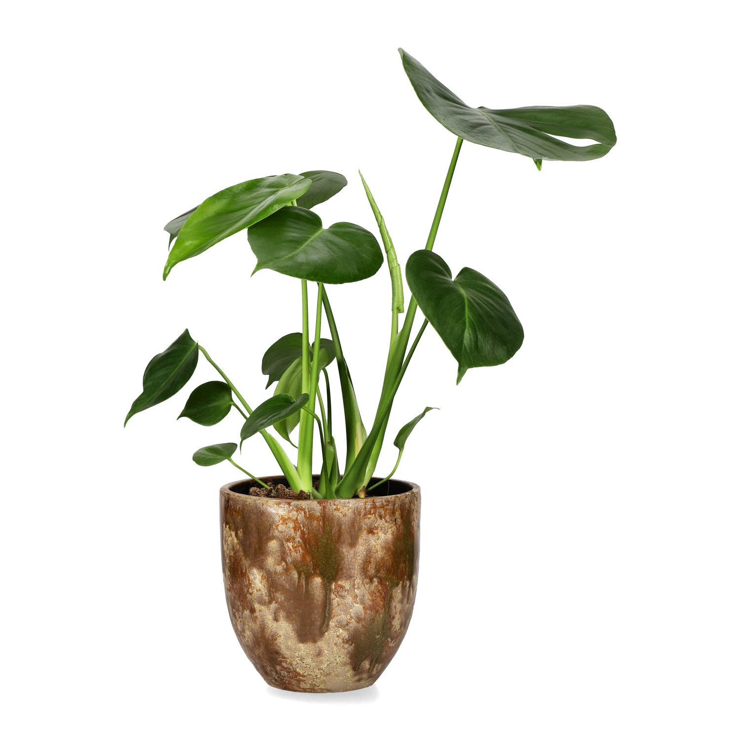 Aurelia pot D16,5 beige