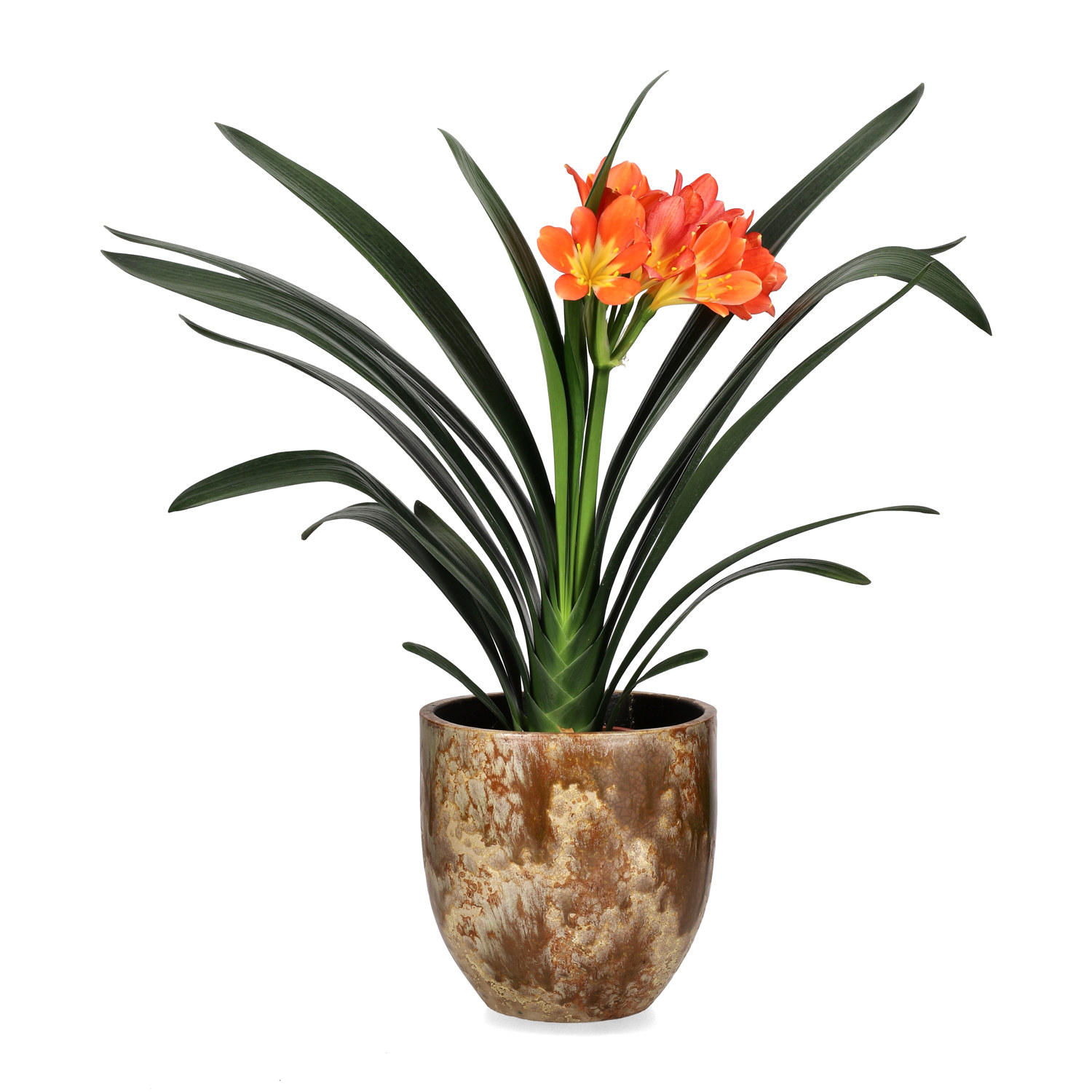 Aurelia pot D16,5 beige