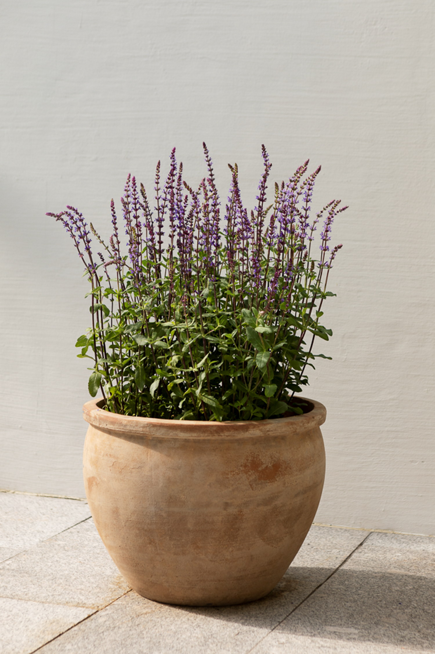 Cory terracotta pot D40 beige