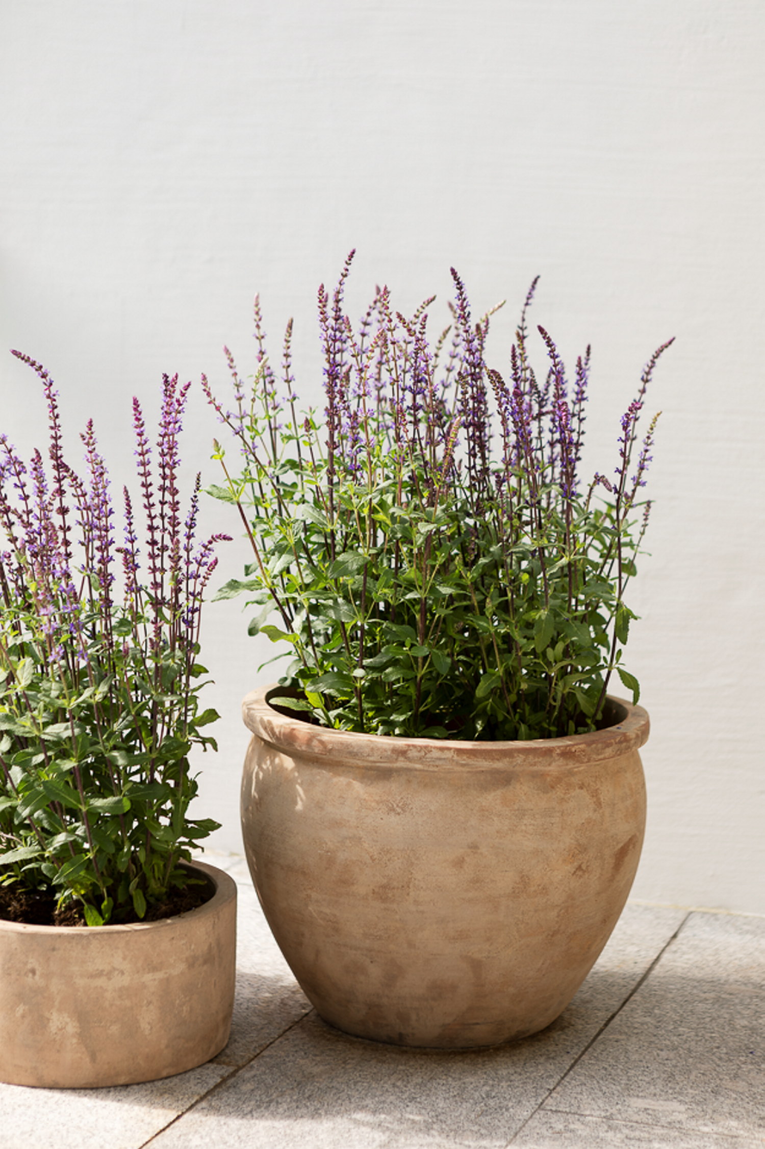 Cory terracotta pot D40 beige