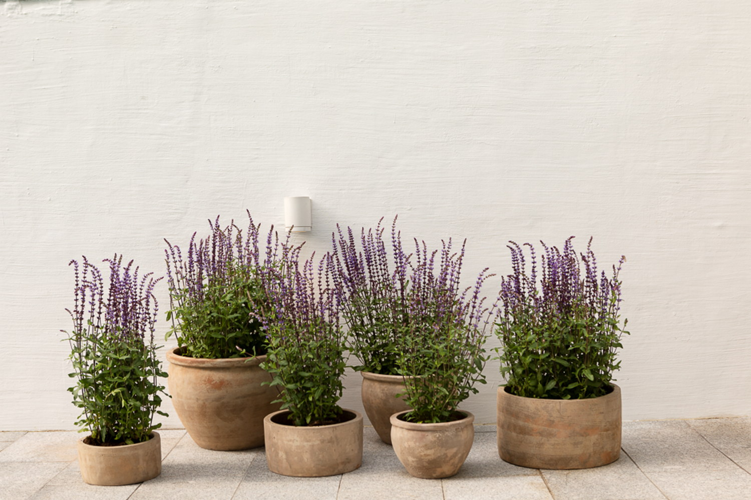 Cory terracotta pot D40 beige