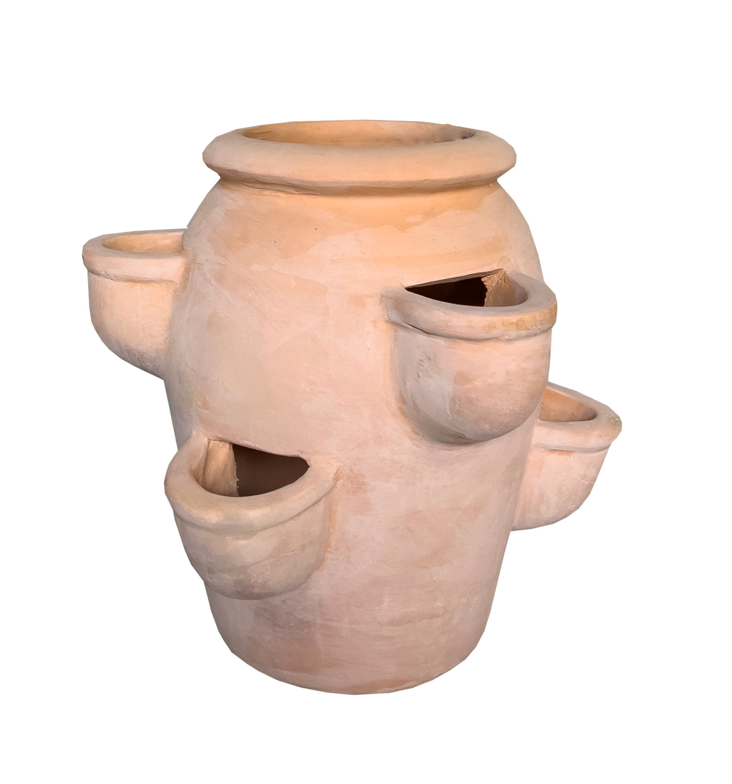 Jordgubbskruka Gilbert