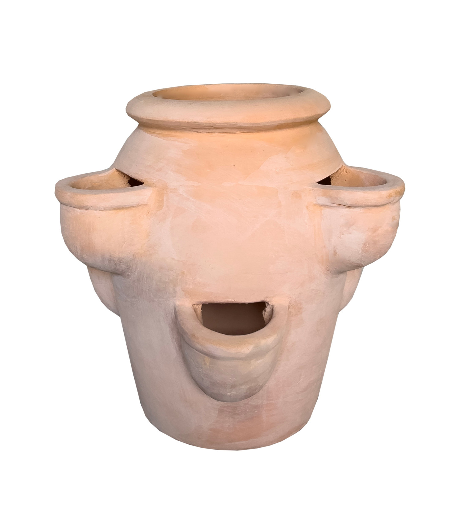 Jordgubbskruka Gilbert