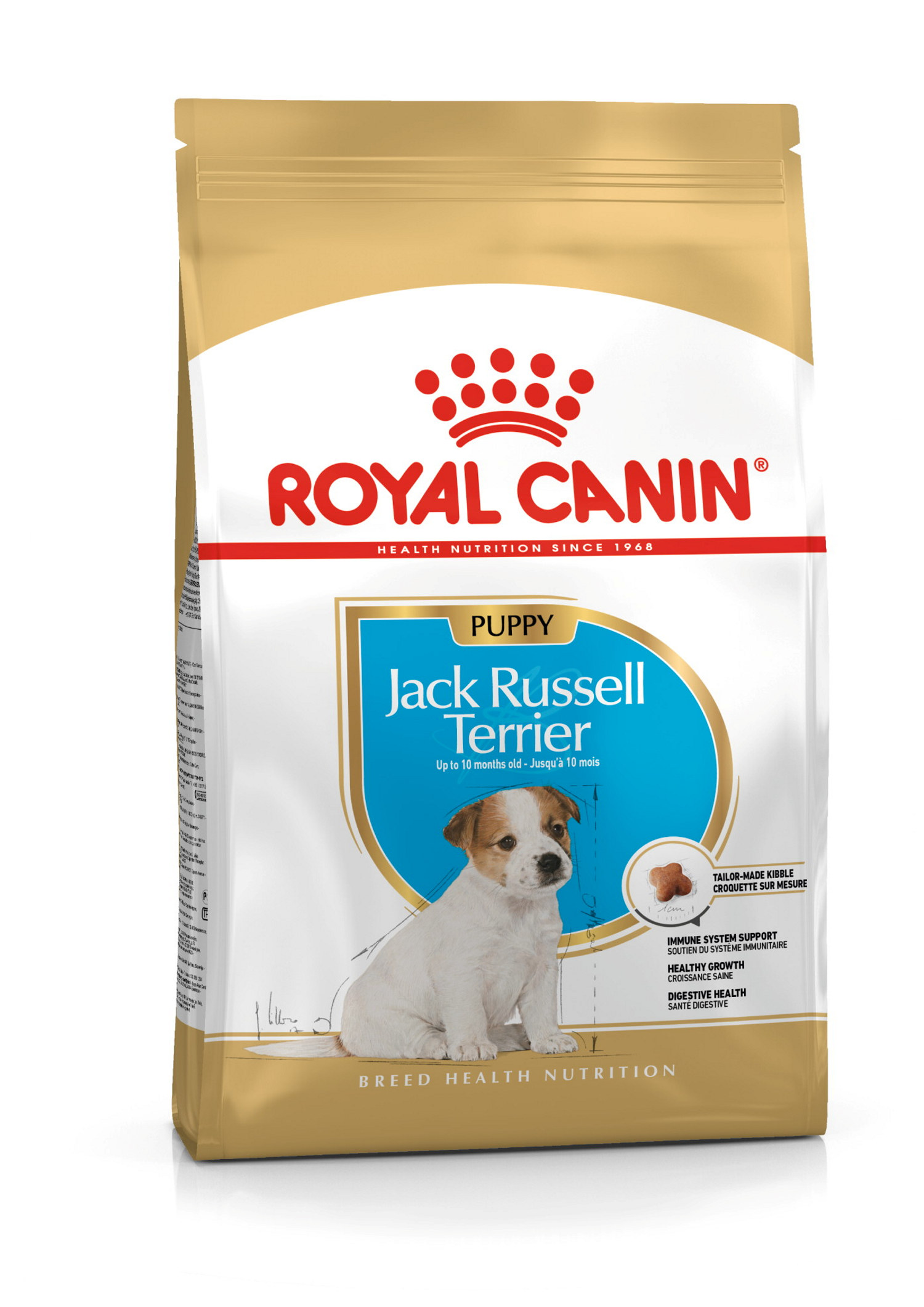 Jack Russel Puppy 1,5 kg