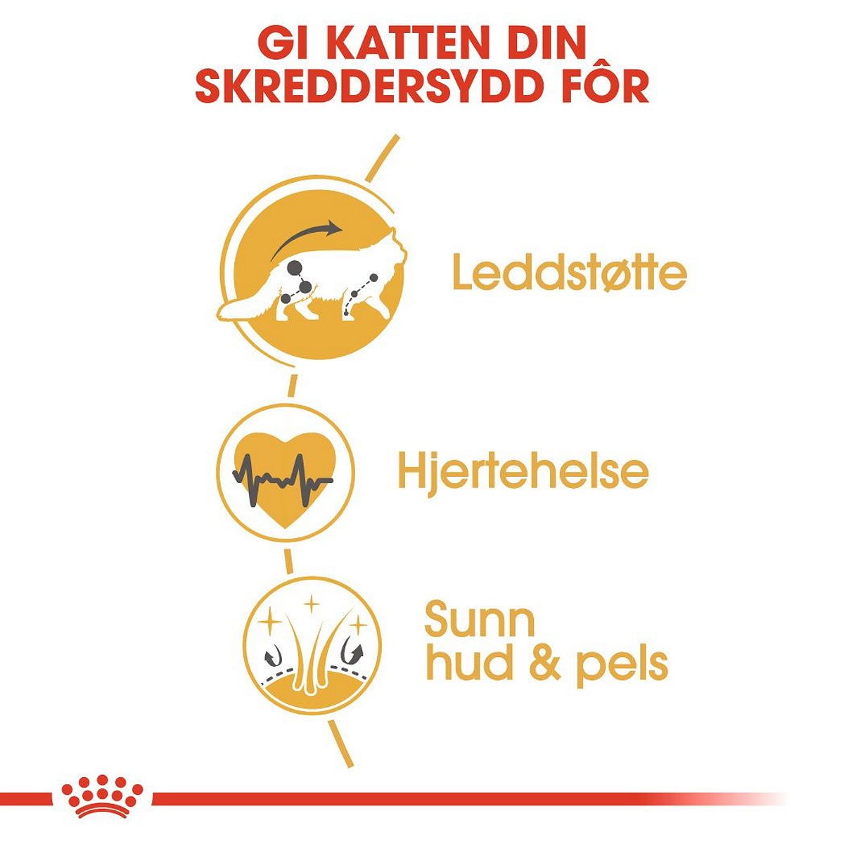 Maine Coon Adult 4 kg