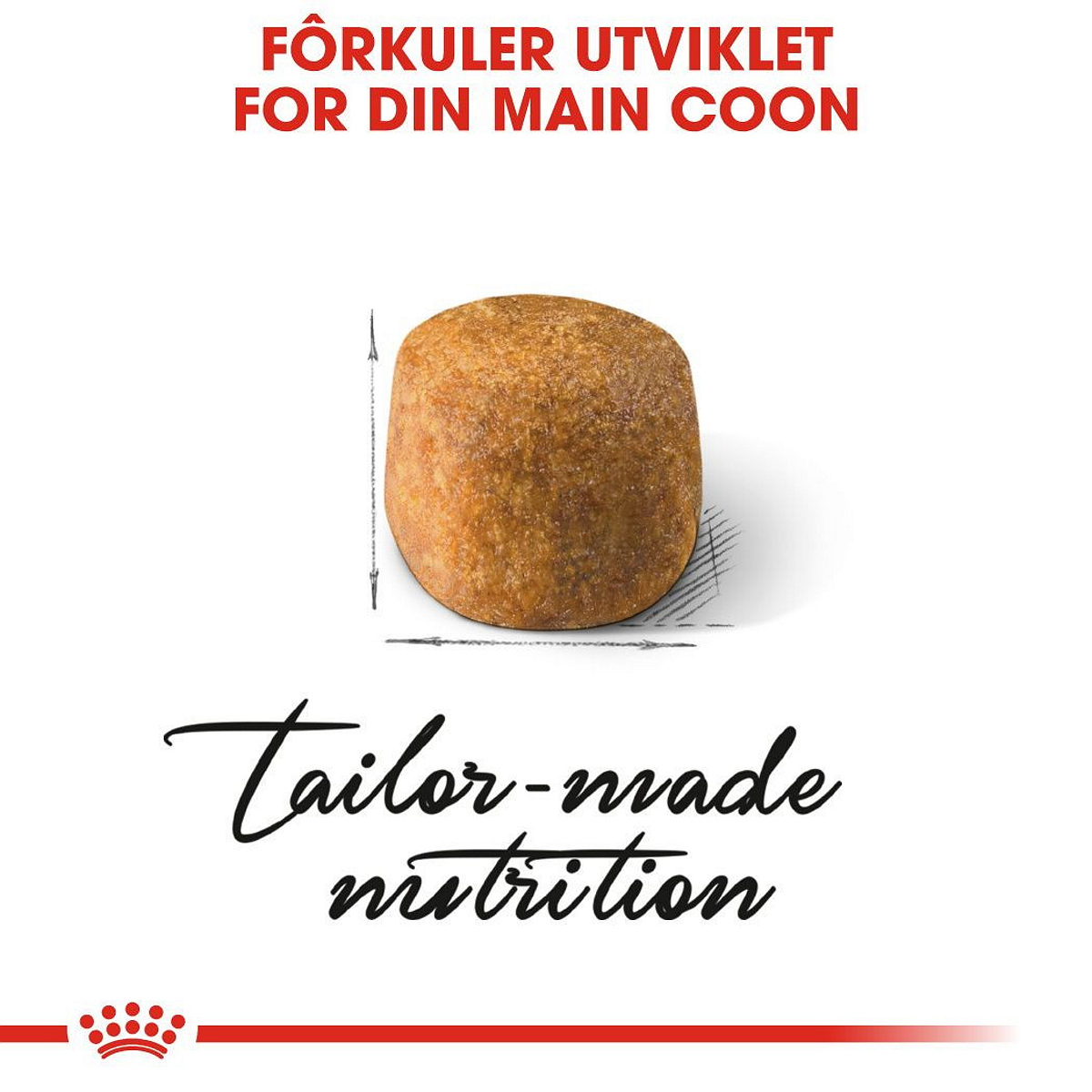 Maine Coon Adult 4 kg