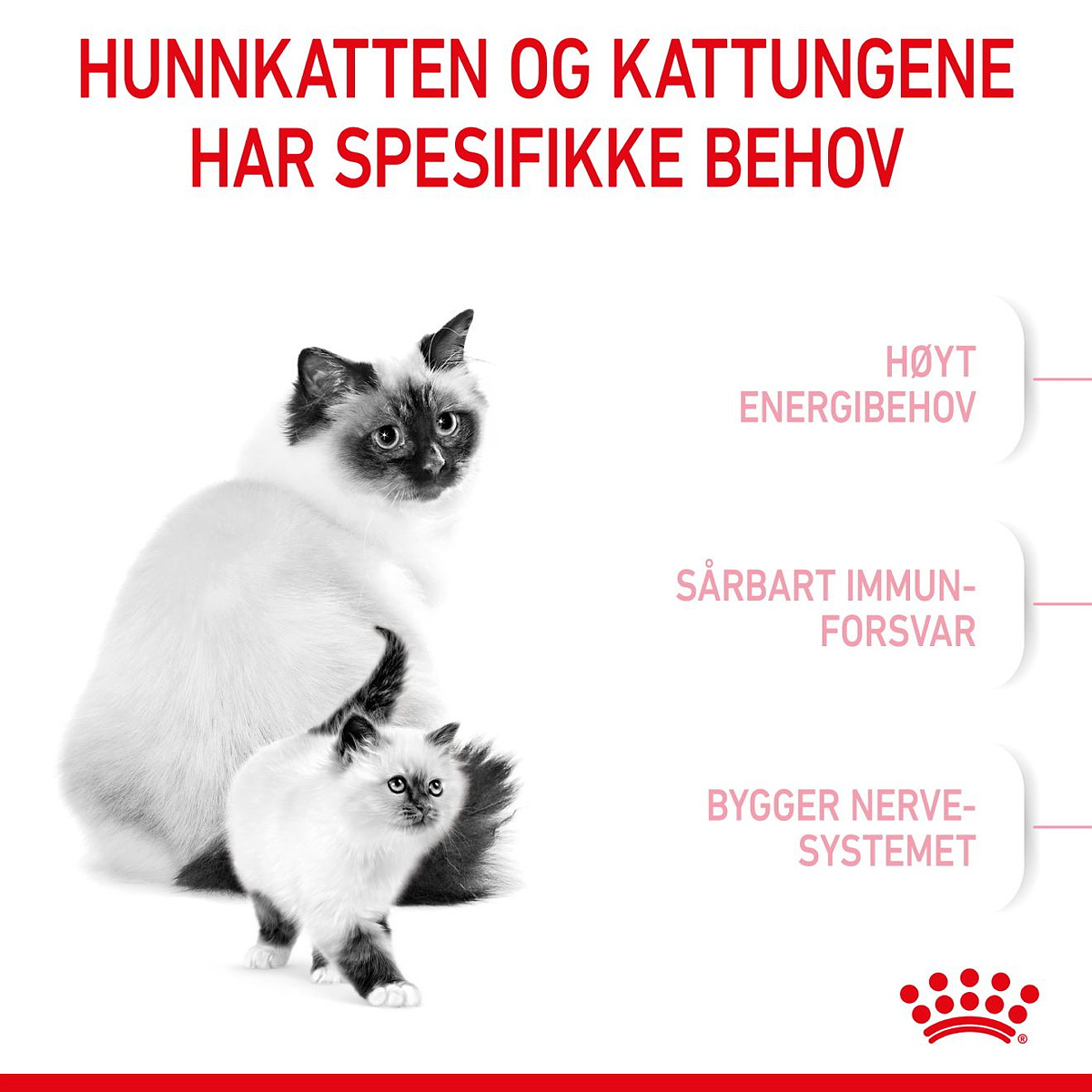 Mother & Babycat 4 kg