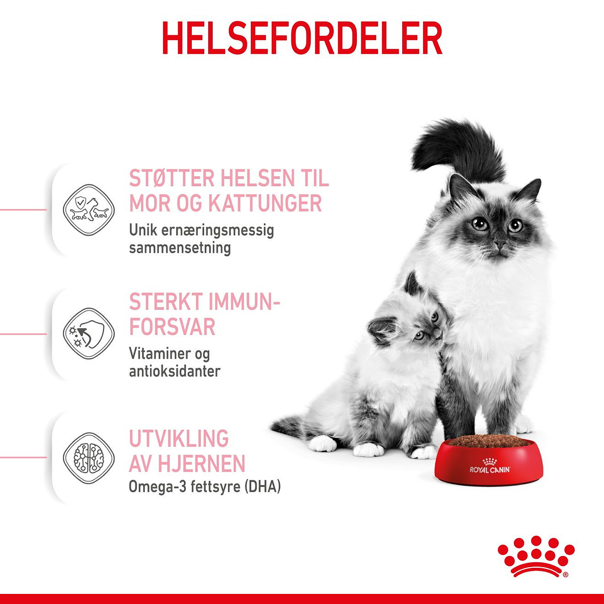 Mother & Babycat 4 kg