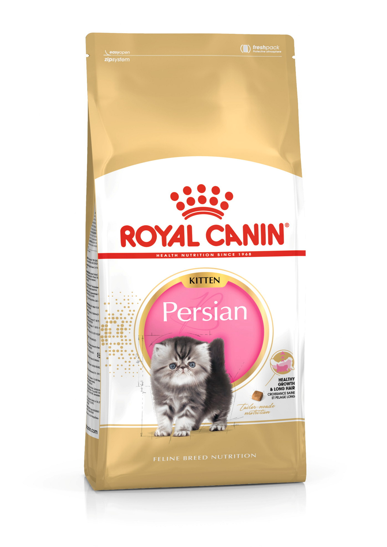 Persian Kitten 10 kg