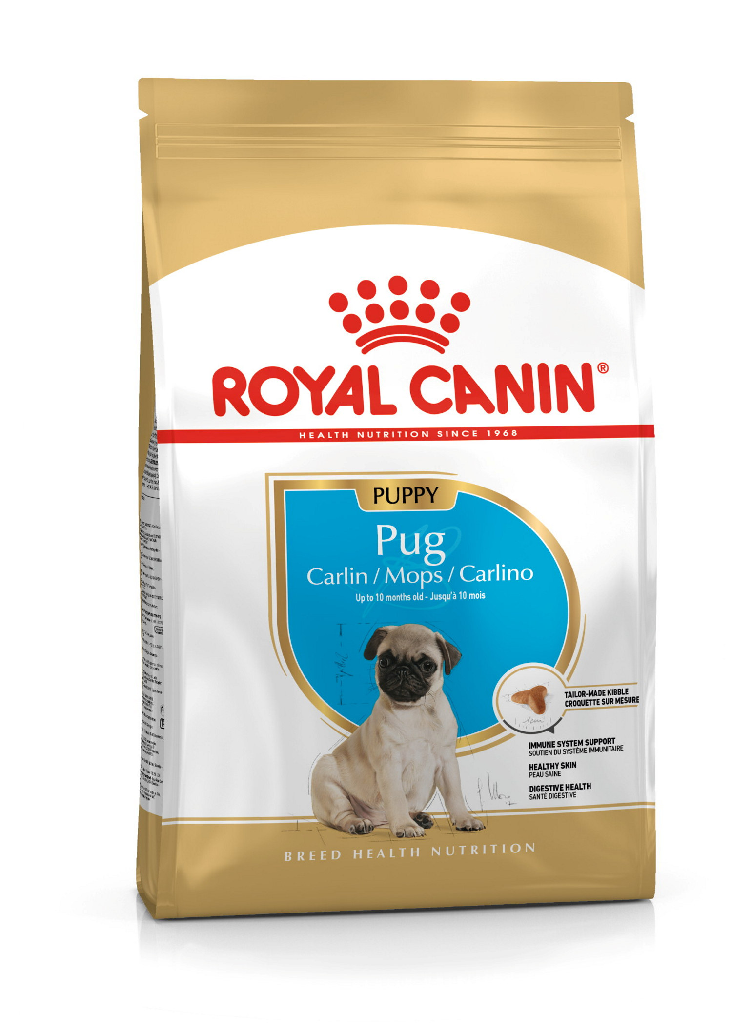 Pug Puppy 1,5 kg