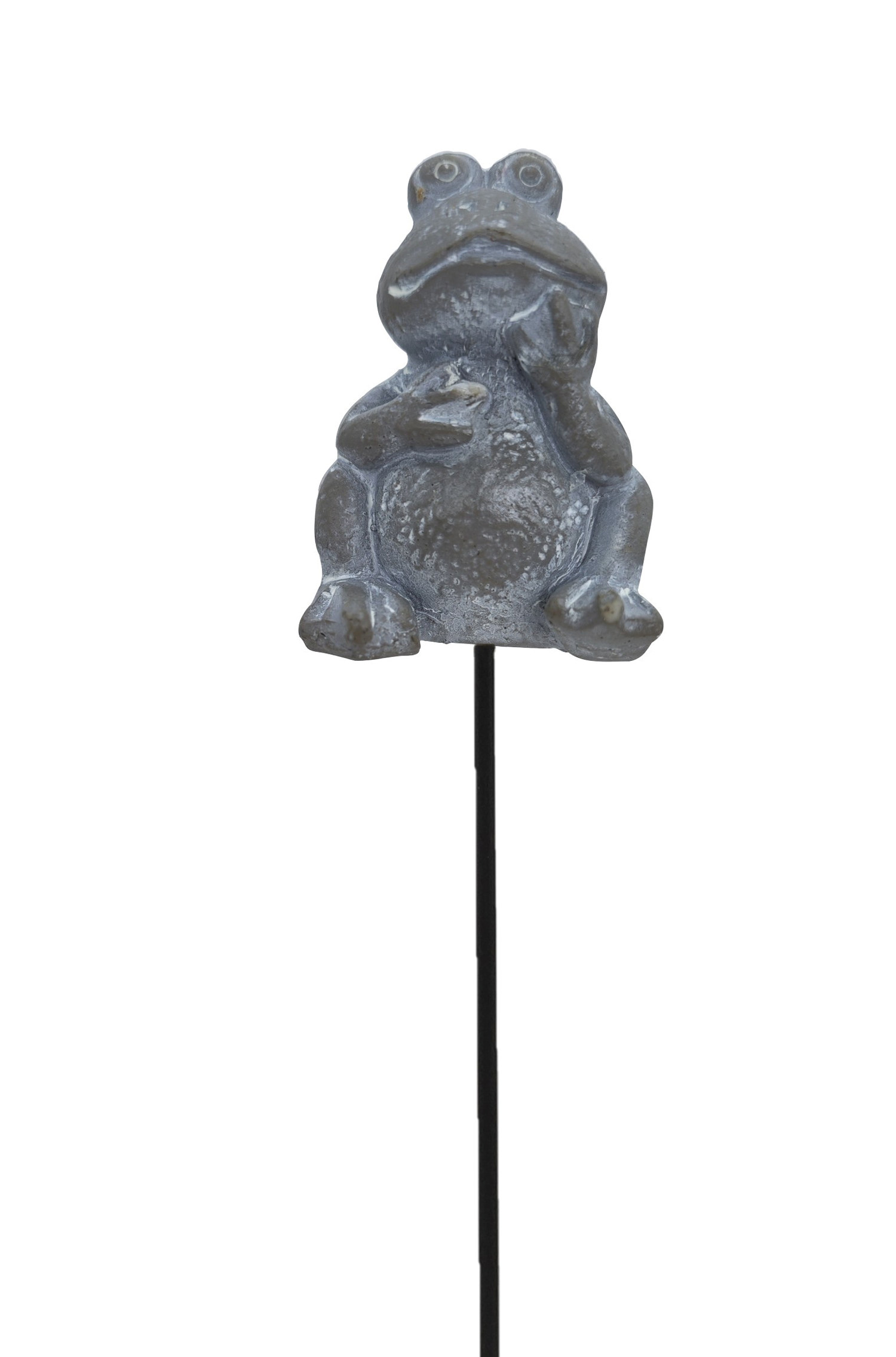 Dekorationspinne Groda