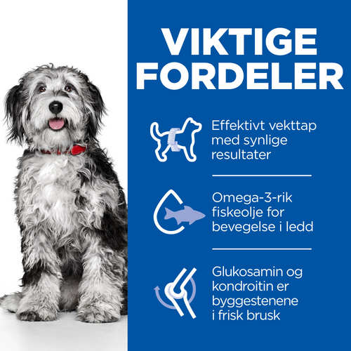 Hill’s Perfect Weight & Active Mobility Medium