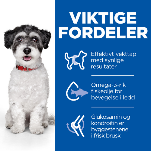 Hill’s Perfect Weight & Active Mobility Small