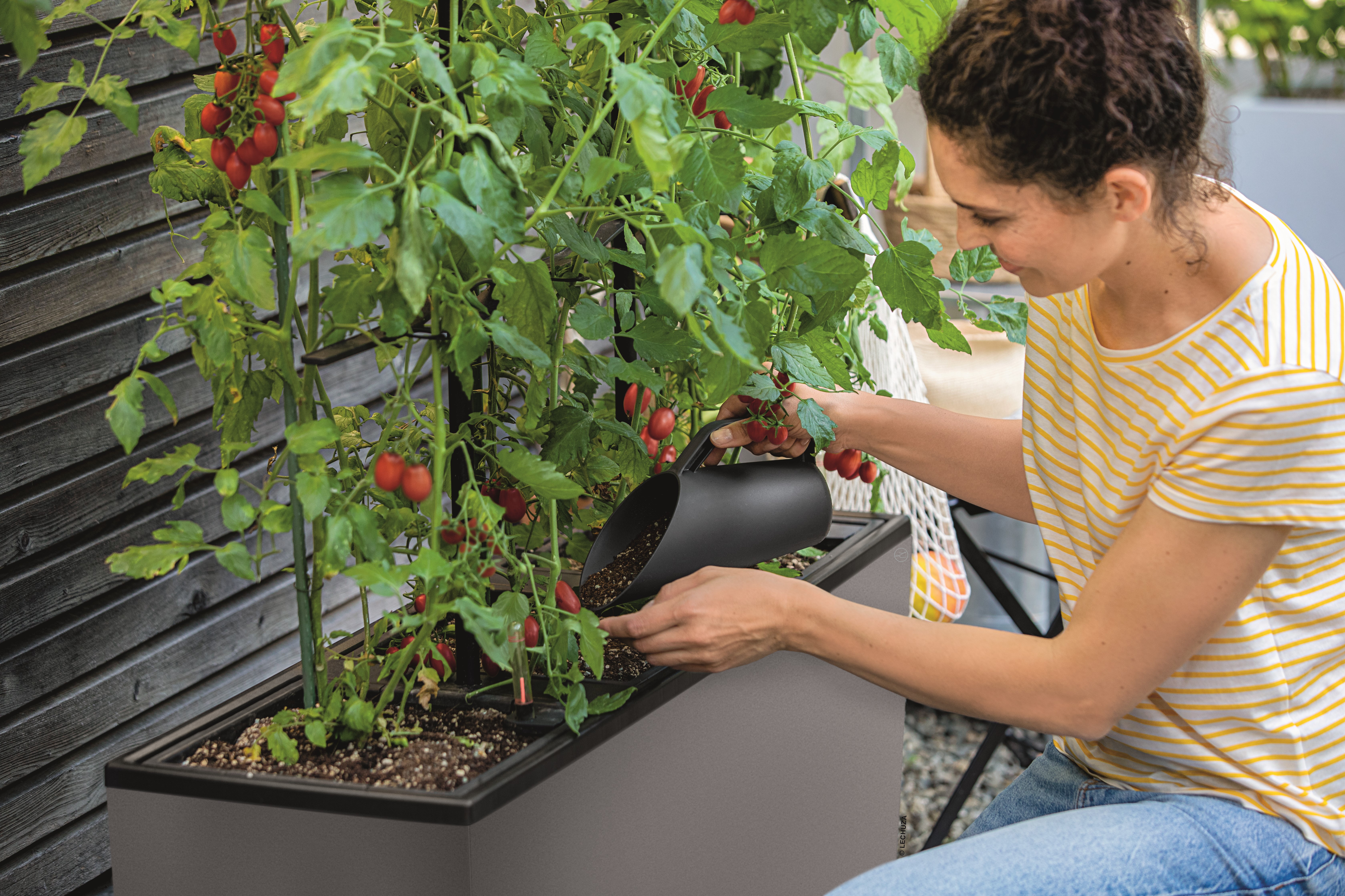 Odlingssubstrat BasicPon