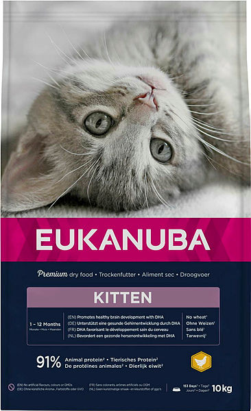 Eukanuba Kitten Healthy Start 10 kg