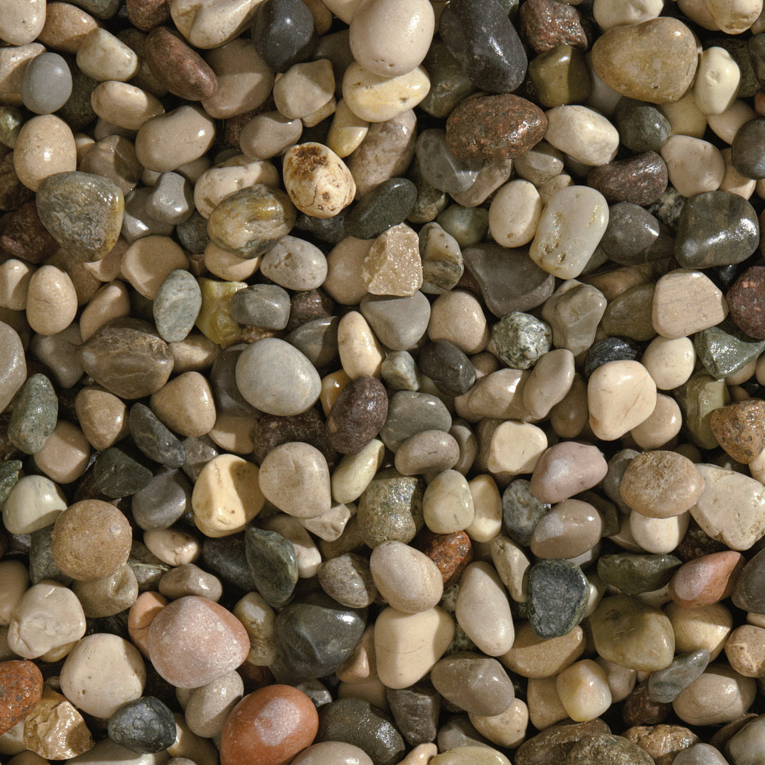 River Pebble Millefiori 15-25mm