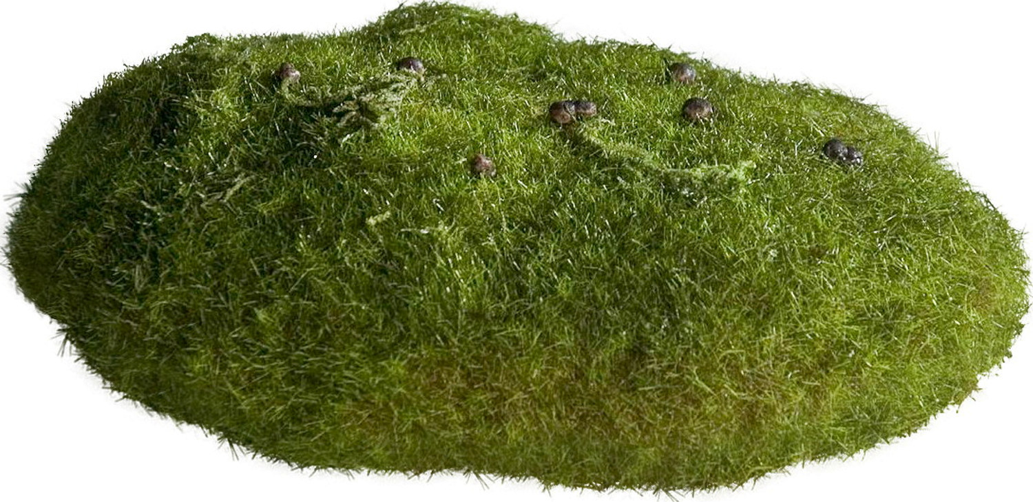 Moss sponge L10 green