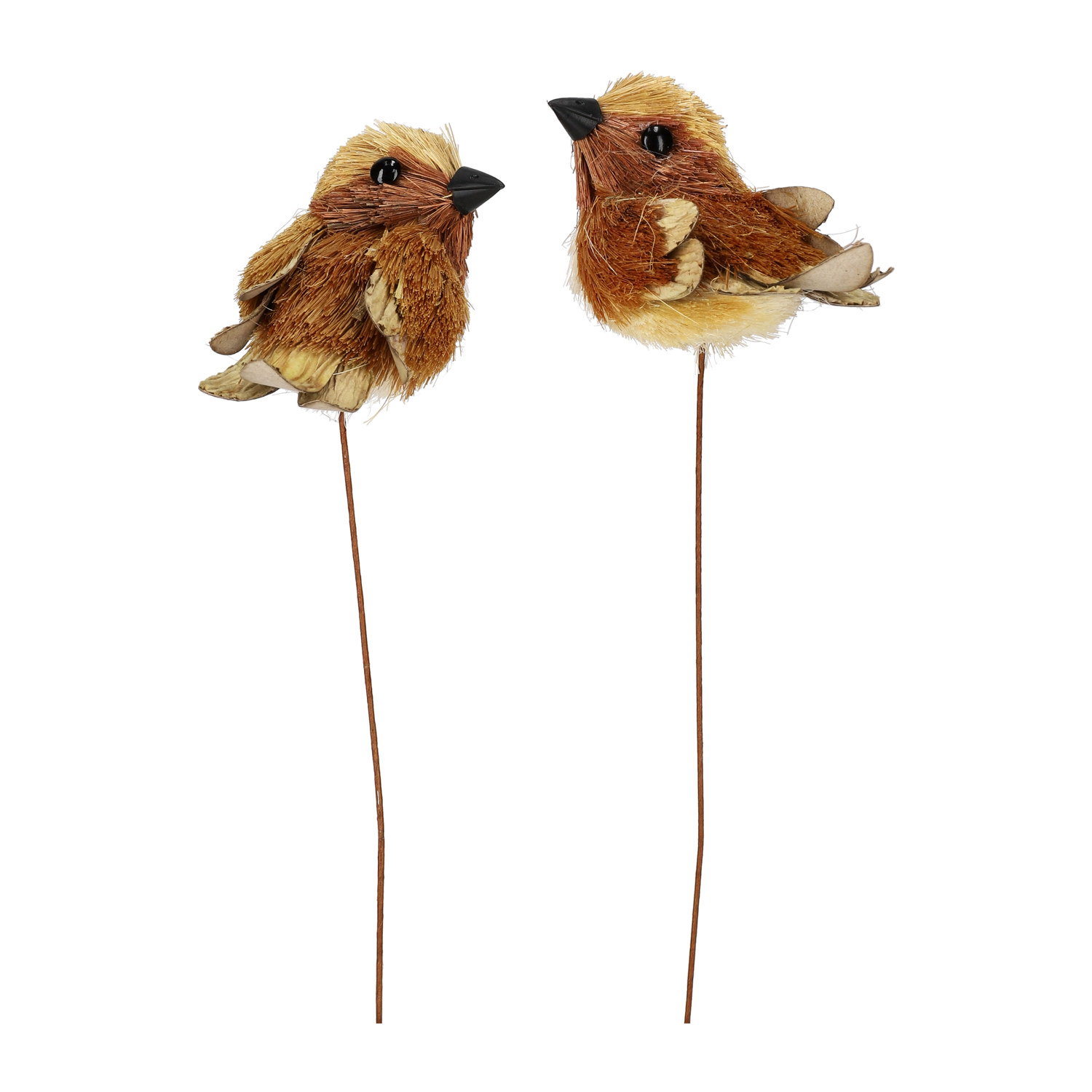 Blompinne fågel Bridie