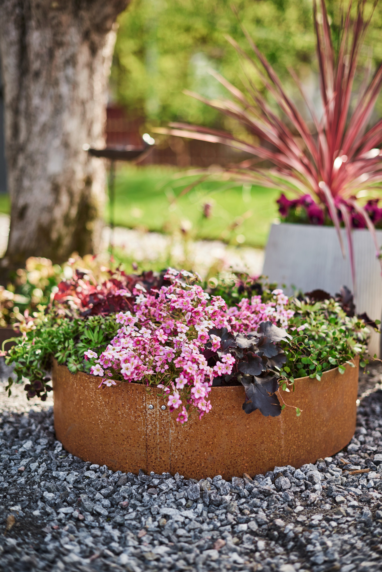 Odlingskrage i järn