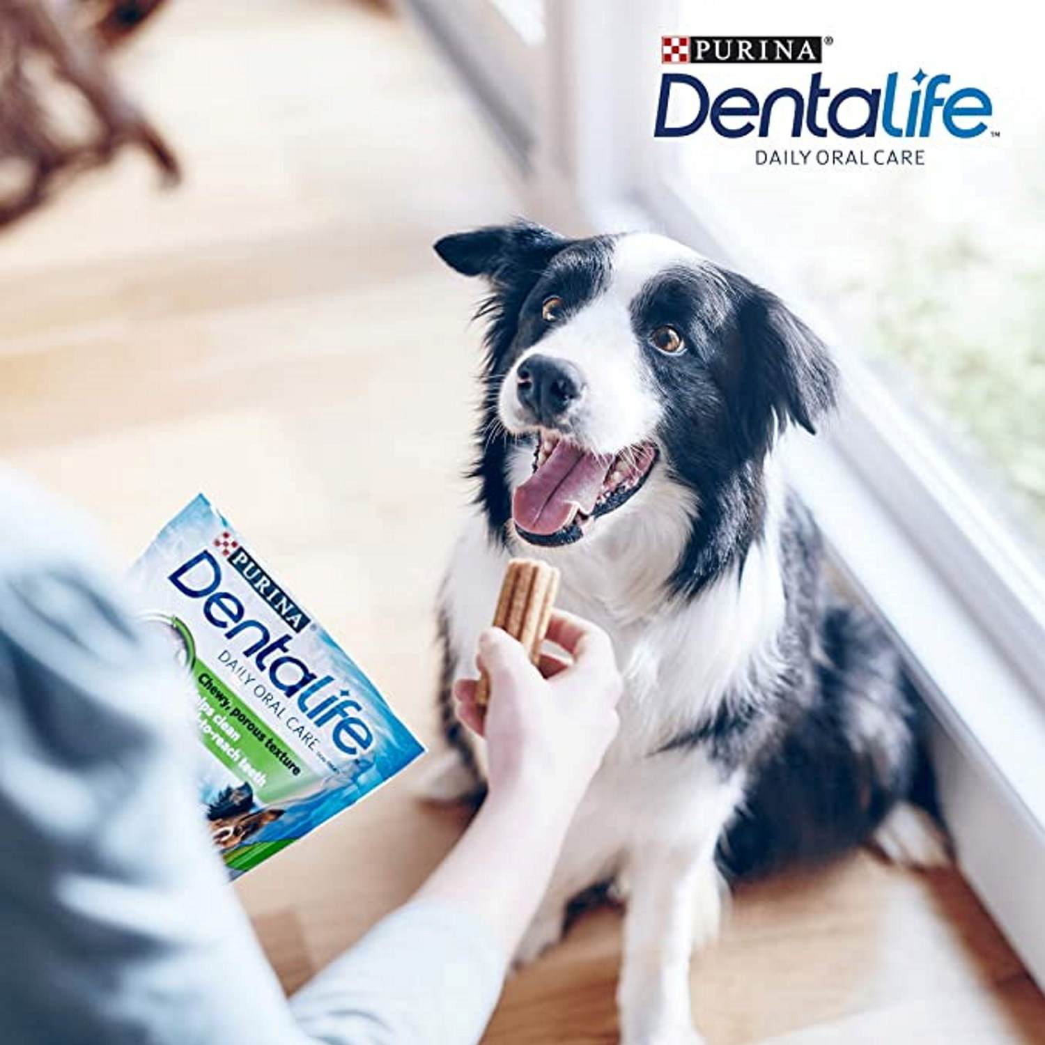 Tyggepinner Purina Dentalife M