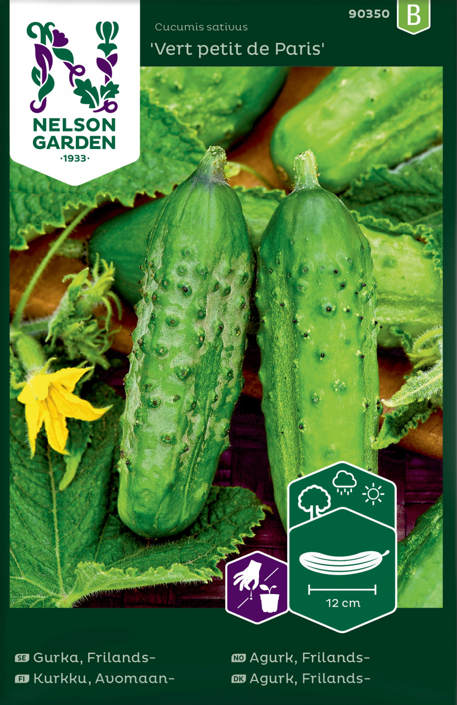 Frilandsagurk ‘Vert Petit de Paris’