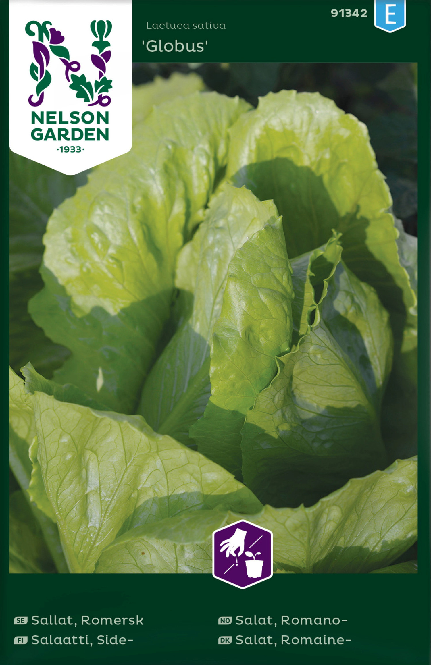 Romanosalat 'Globus'